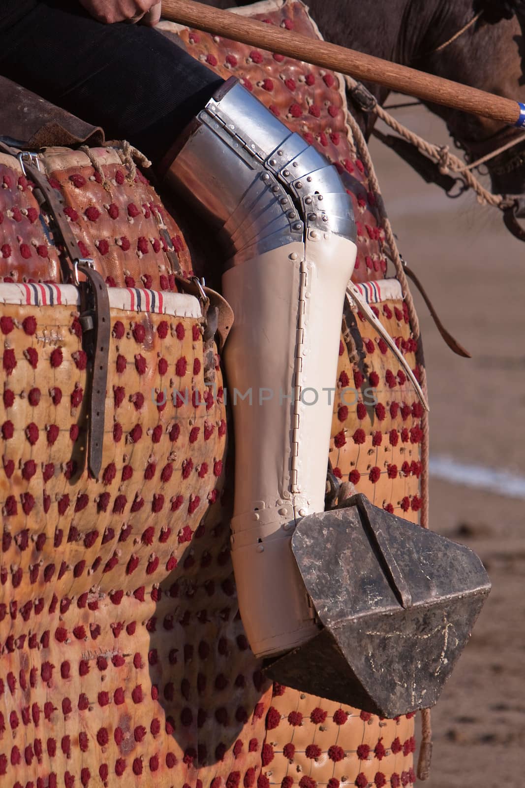 Picador bullfighter, lancer whose job it is to weaken bull's neck muscles, Spain