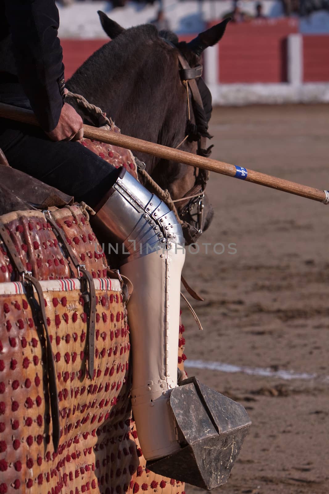 Picador bullfighter, lancer whose job it is to weaken bull's neck muscles, Spain