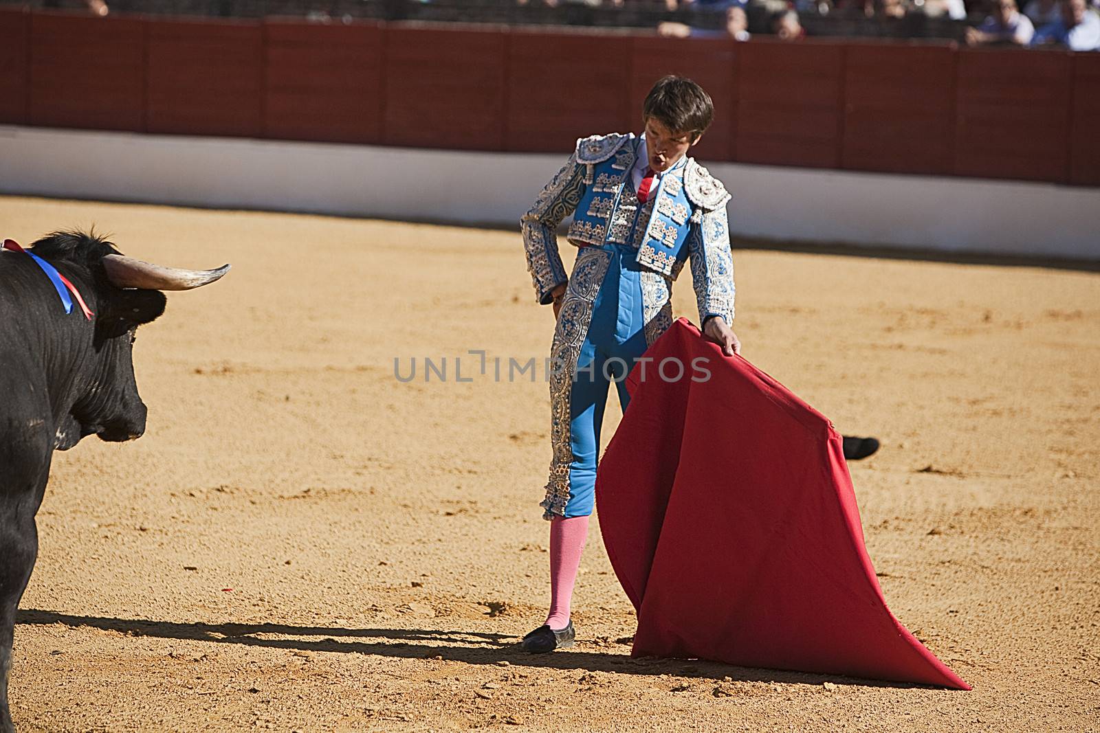 Bullfight in Baeza to the new values of the Andalusia bullfighting schools, Baeza, Jaen province, Andalusia, Spain, 