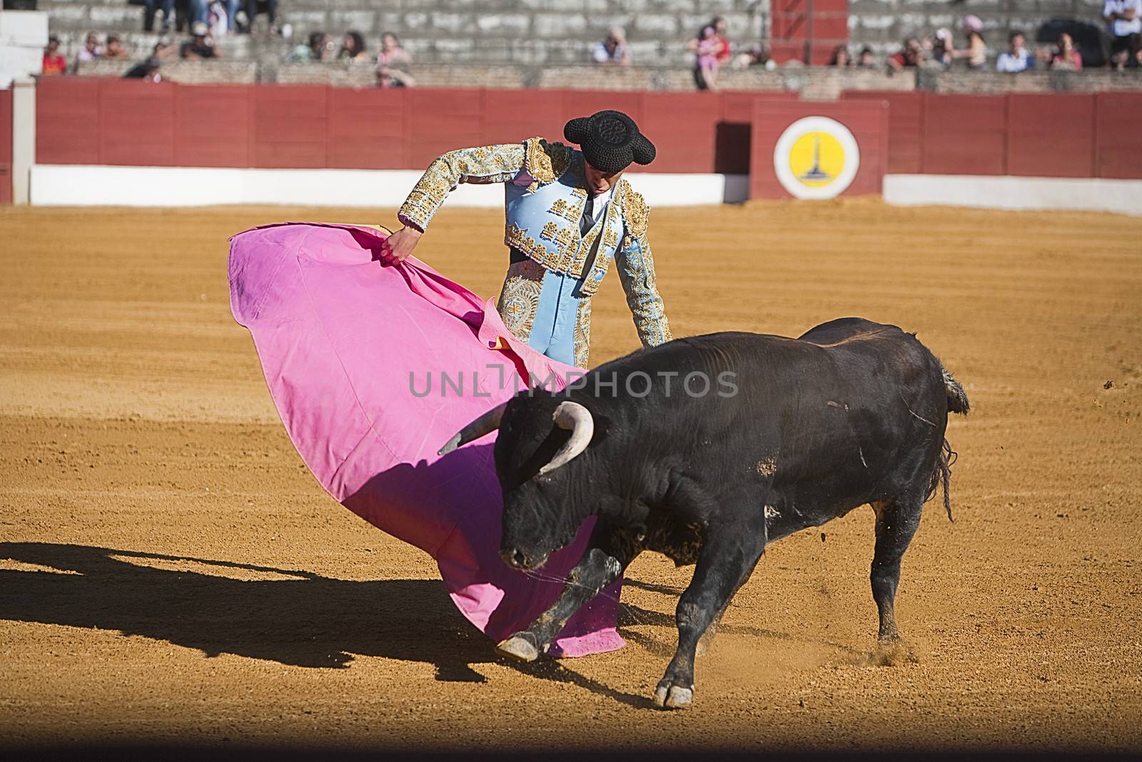 Bullfight in Baeza to the new values of the Andalusia bullfighting schools, Baeza, Jaen province, Andalusia, Spain, 27 june 2009