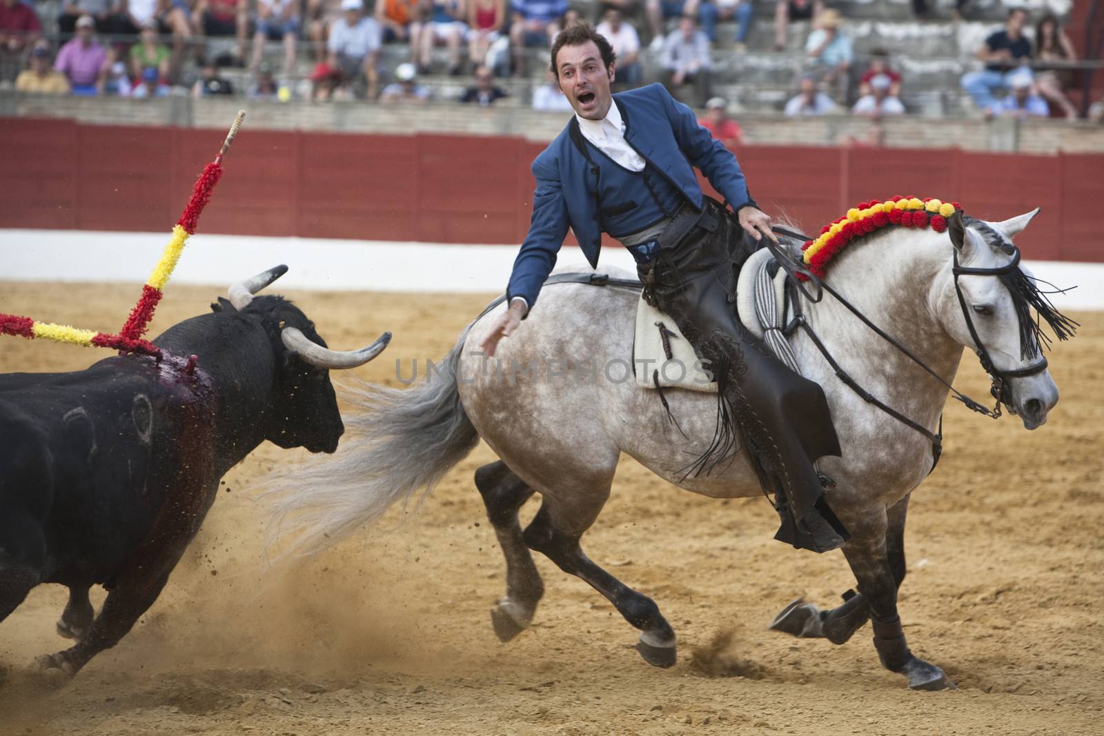 Andy Cartagena, bullfighter on horseback spanish, Baeza, Jaen province, Spain, 13 august 2010