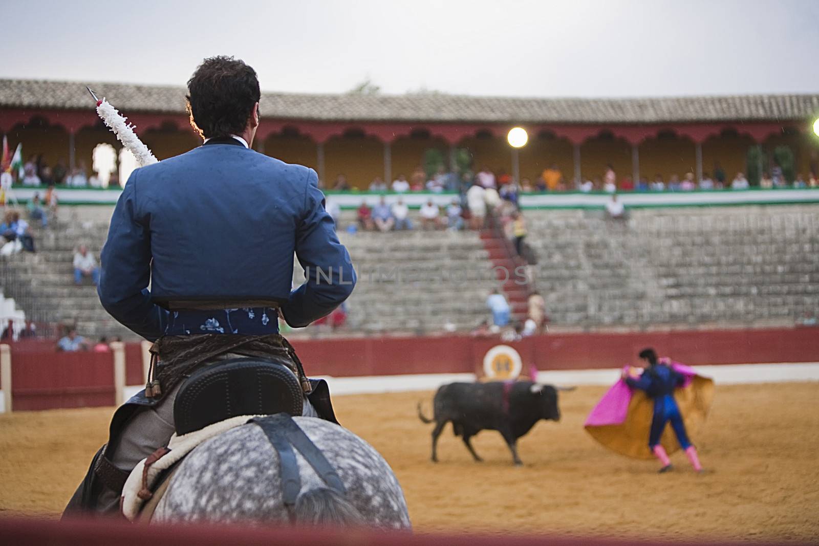 Andy Cartagena, bullfighter on horseback spanish, Baeza, Jaen province, Spain, 13 august 2010