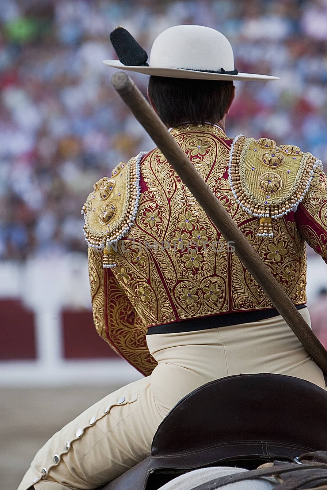 Picador bullfighter, lancer whose job it is to weaken bull's neck muscles, Spain