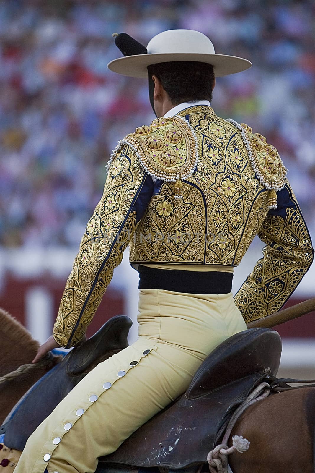 Picador bullfighter, lancer whose job it is to weaken bull's neck muscles, Spain