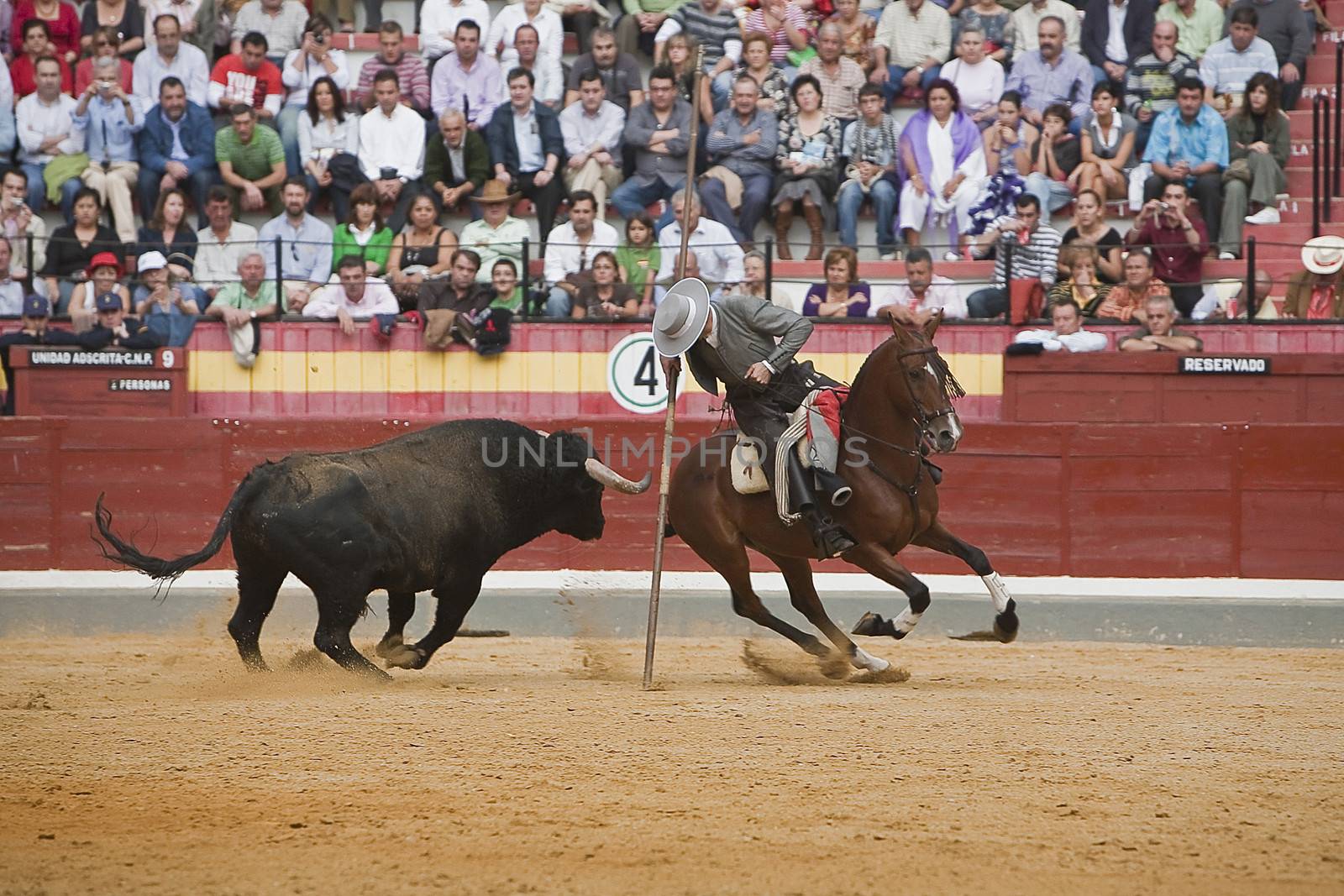 Alvaro Montes, bullfighter on horseback spanish witch garrocha (blunt lance used on ranches), Coso de la Alameda, Jaen, Spain, 13 october 2008