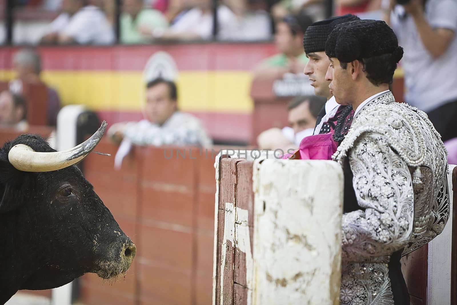 bullfighters behind the refuge before the look of the brave bull, Spain