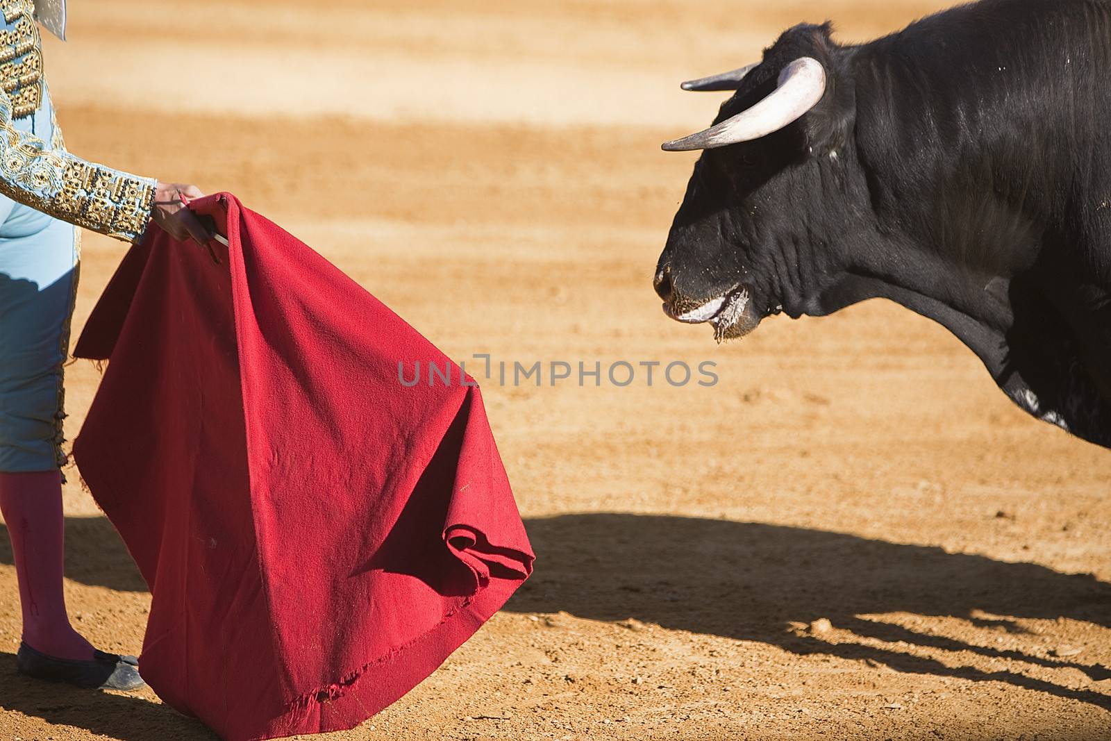 Bullfighter with the Cape in the Bullfight, Spain