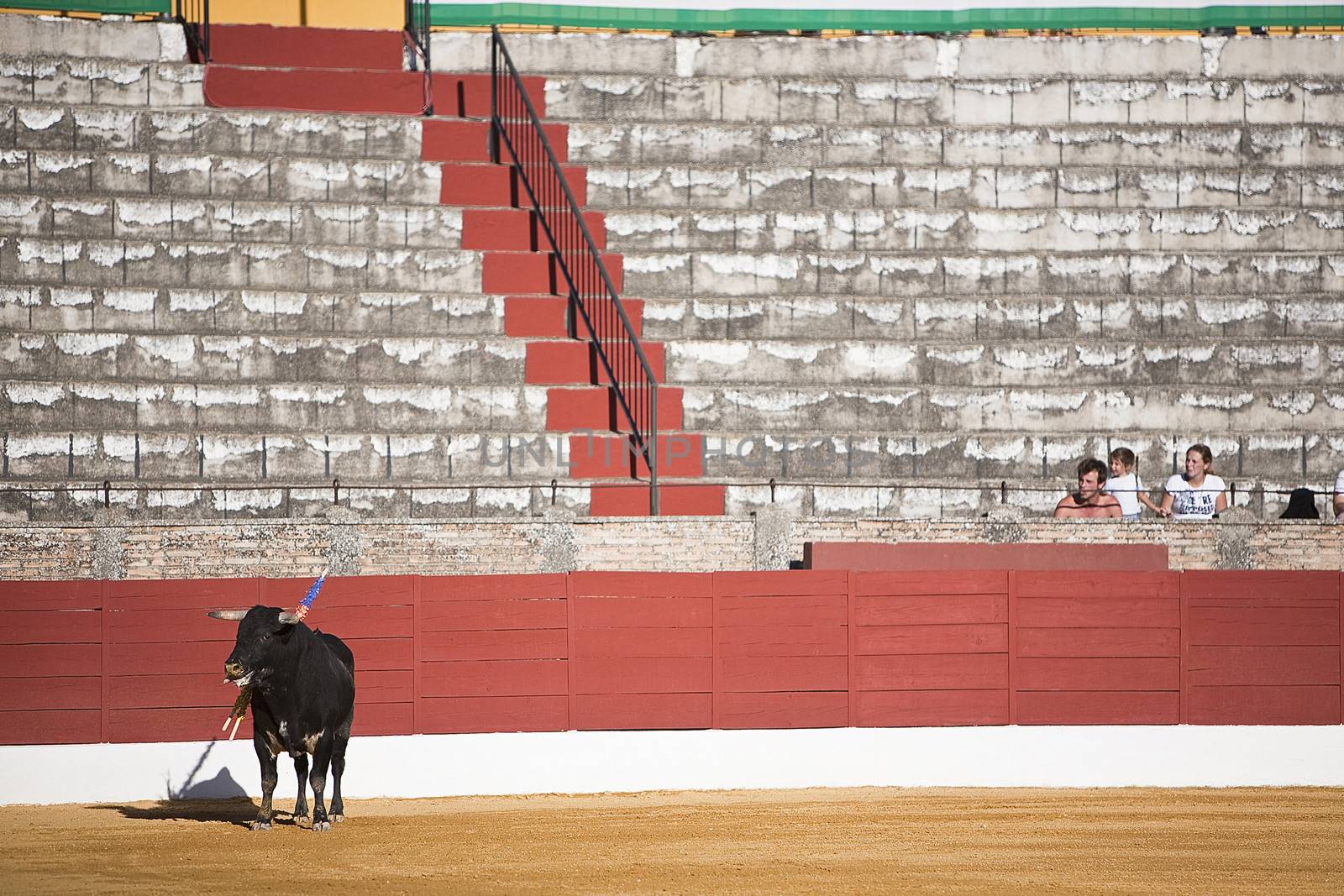Capture of the figure of a brave bull in a bullfight, Spain
