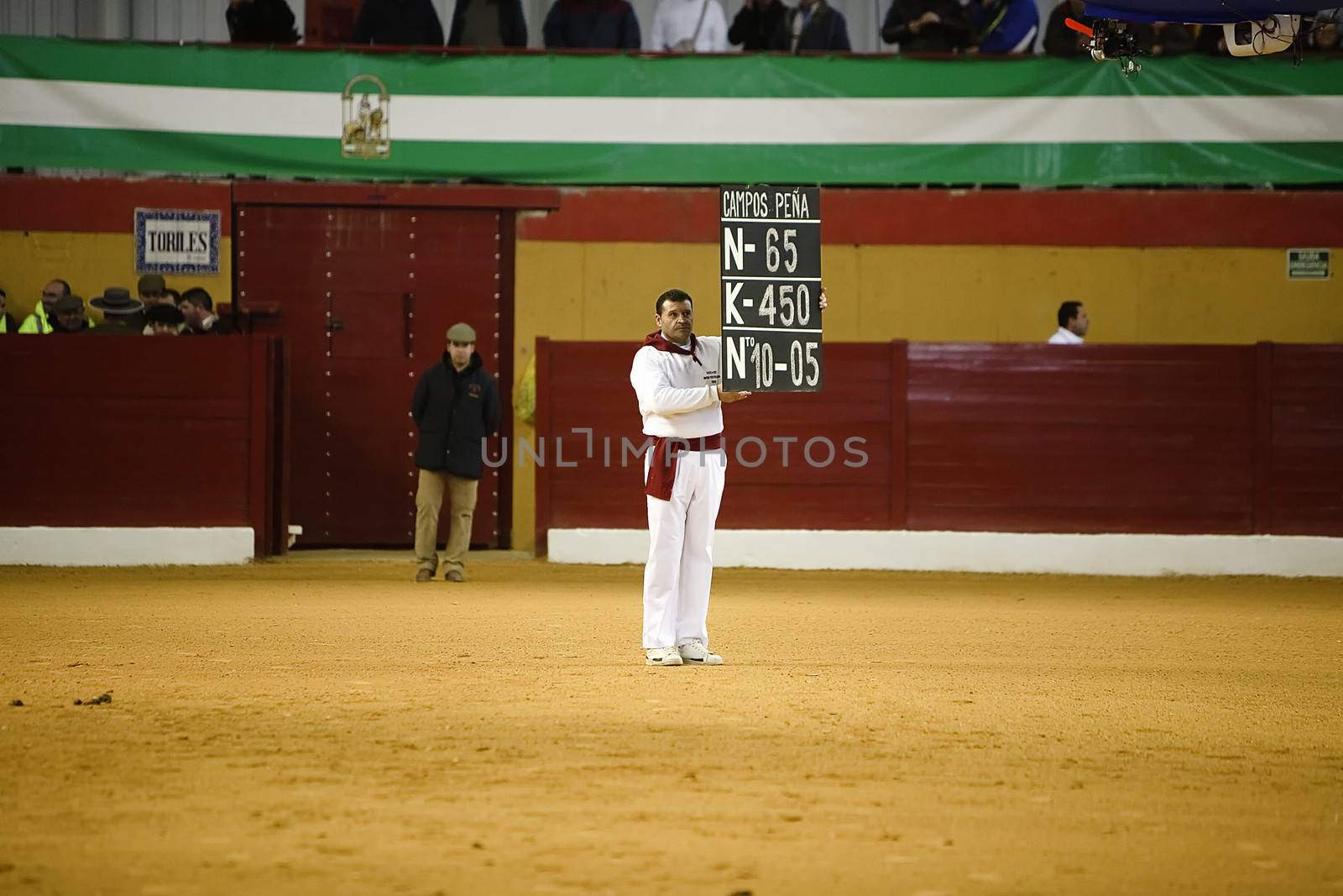 Employee of the Bullring has the poster with the name of the livestock, the weight and the number of the bull that goes out to the toriles, Atarfe, Granada province, Spain