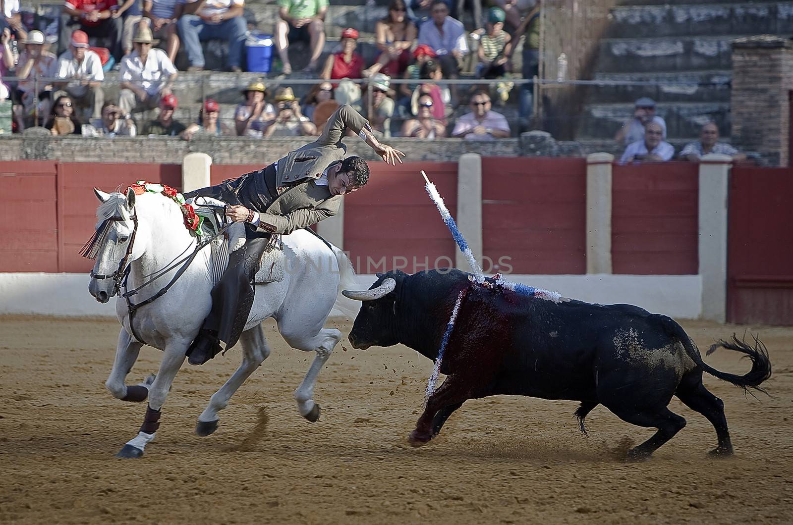 Alvaro Montes, bullfighter on horseback spanish, Baeza, Jaen, Spain, 14 august 2009