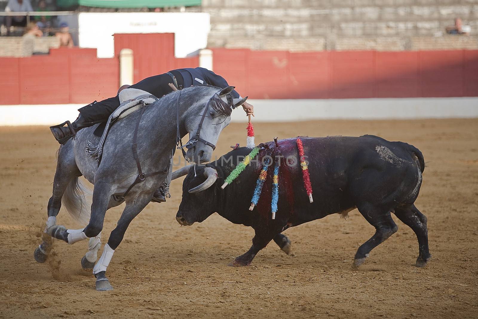 Leonardo Hernandez, bullfighter on horseback spanish, Baeza, Jaen province, Spain, 14 august 2009