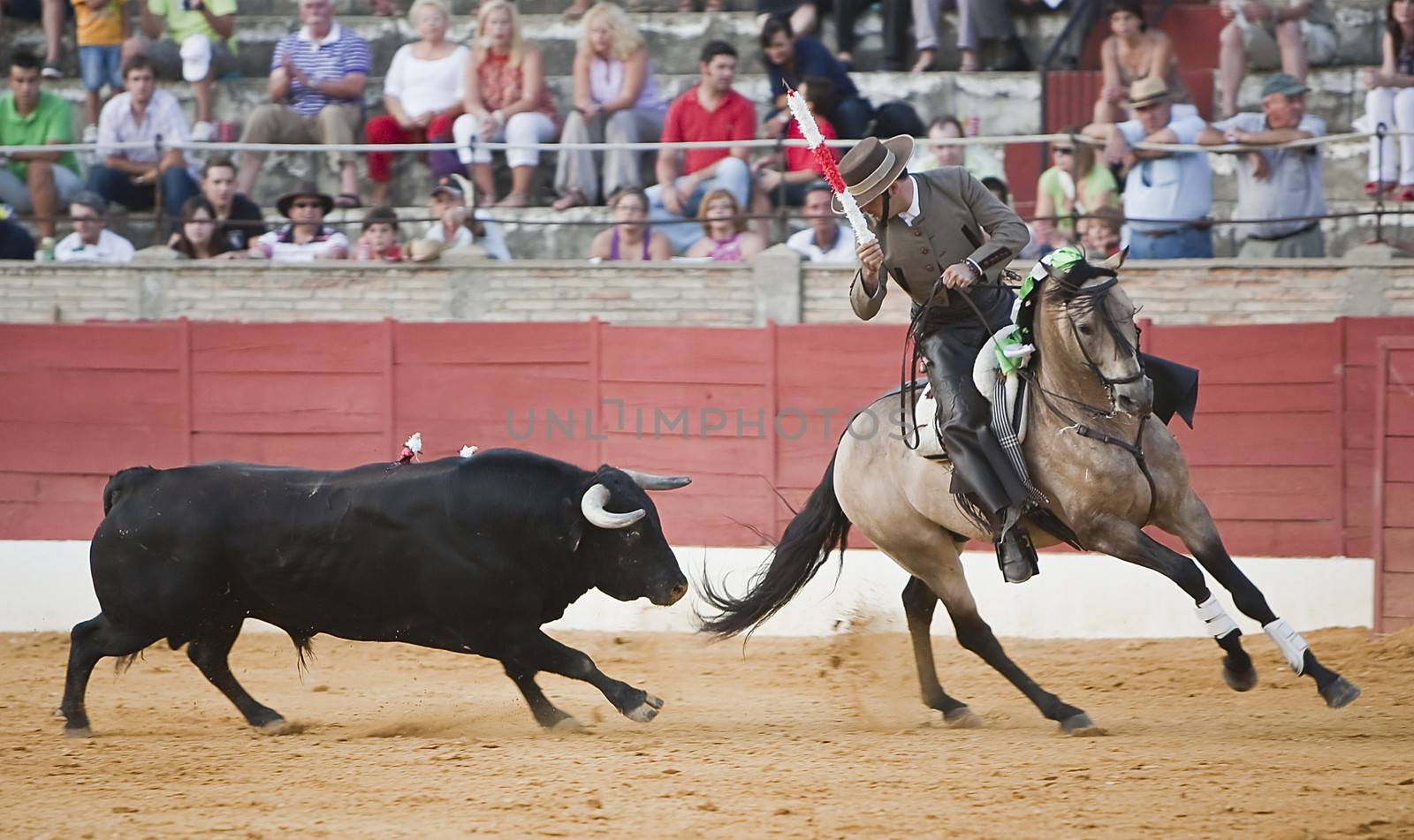 Alvaro Montes, bullfighter on horseback spanish, Baeza, Jaen, Spain, 14 august 2009