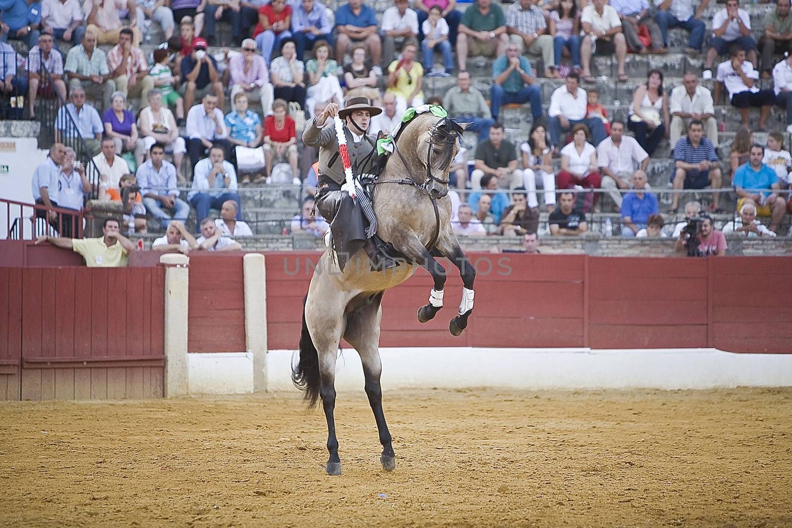 Alvaro Montes, bullfighter on horseback spanish, Baeza, Jaen, Spain, 14 august 2009