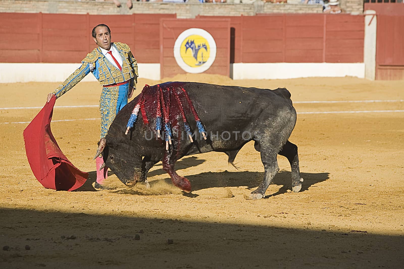 The Spanish Bullfighter Luis Francisco Espla bullfighting with the crutch in the Bullring of the Baeza, Jaen, Spain, 15 august 2009