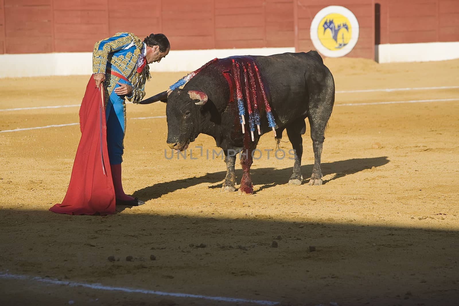 The Spanish Bullfighter Luis Francisco Espla bullfighting with the crutch in the Bullring of Baeza, Jaen, Spain, 15 august 2009