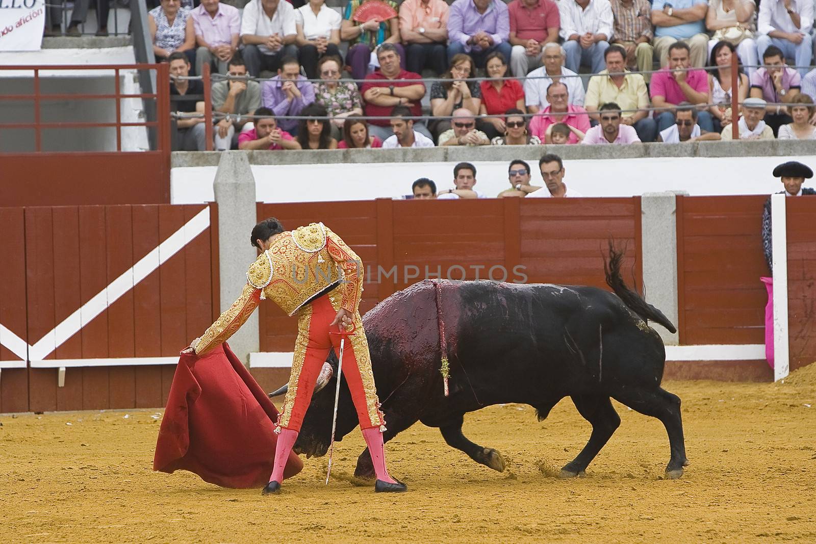 The Spanish Bullfighter Enrique Ponce bullfighting with the crutch in the Bullring of the Pozoblanco, Cordoba province, Spain, 16 october 2011