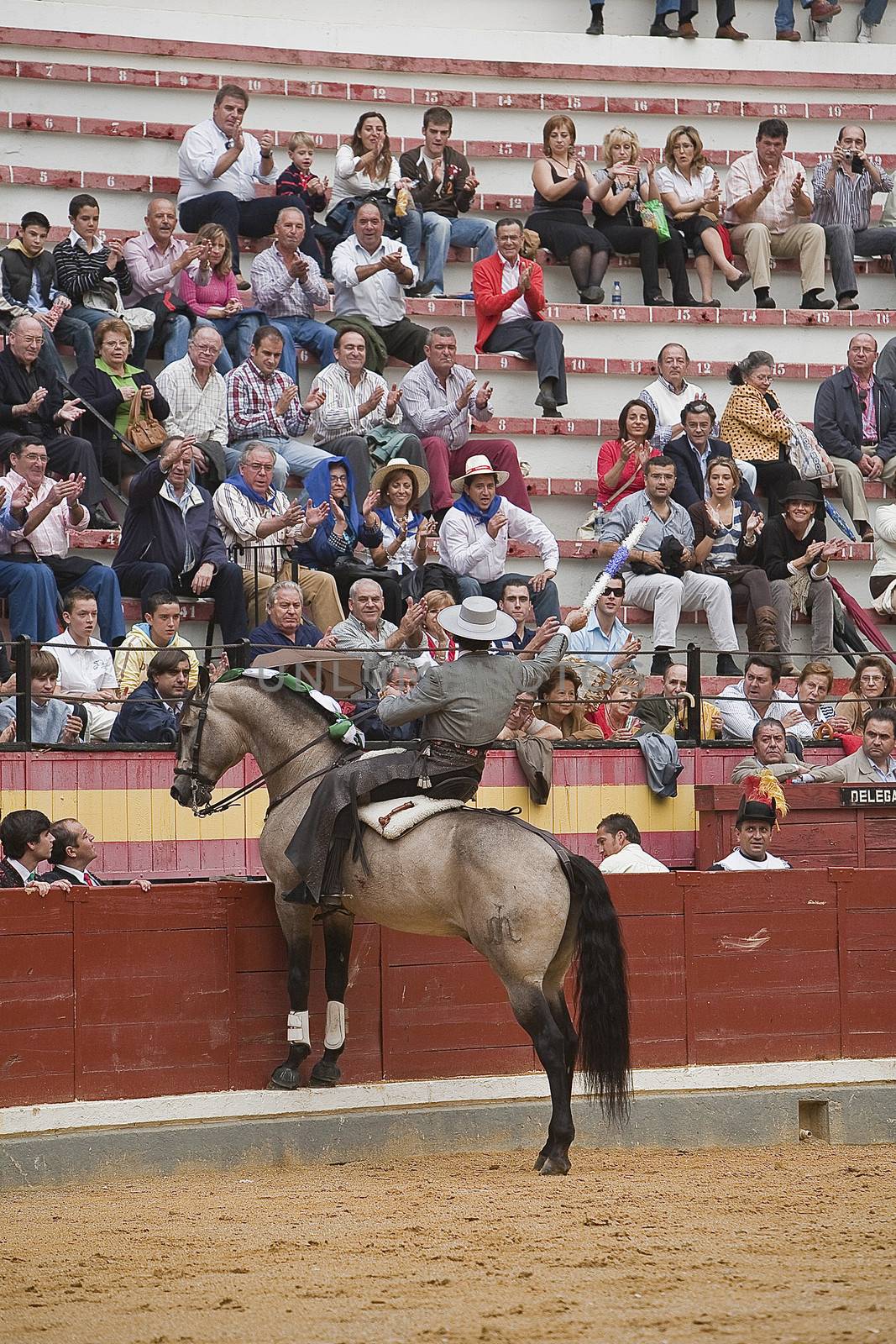 Alvaro Montes, bullfighter on horseback spanish giving the spectators, Coso de la Alameda, Jaen, Spain, 13 october2008
