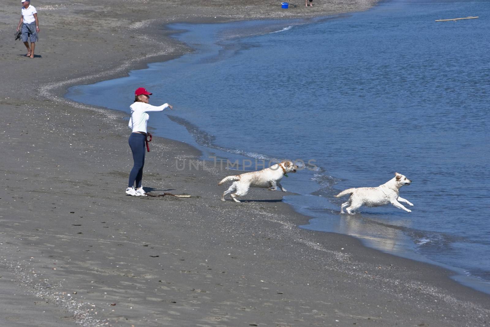 Woman playing with dogs on the beach, Spain
