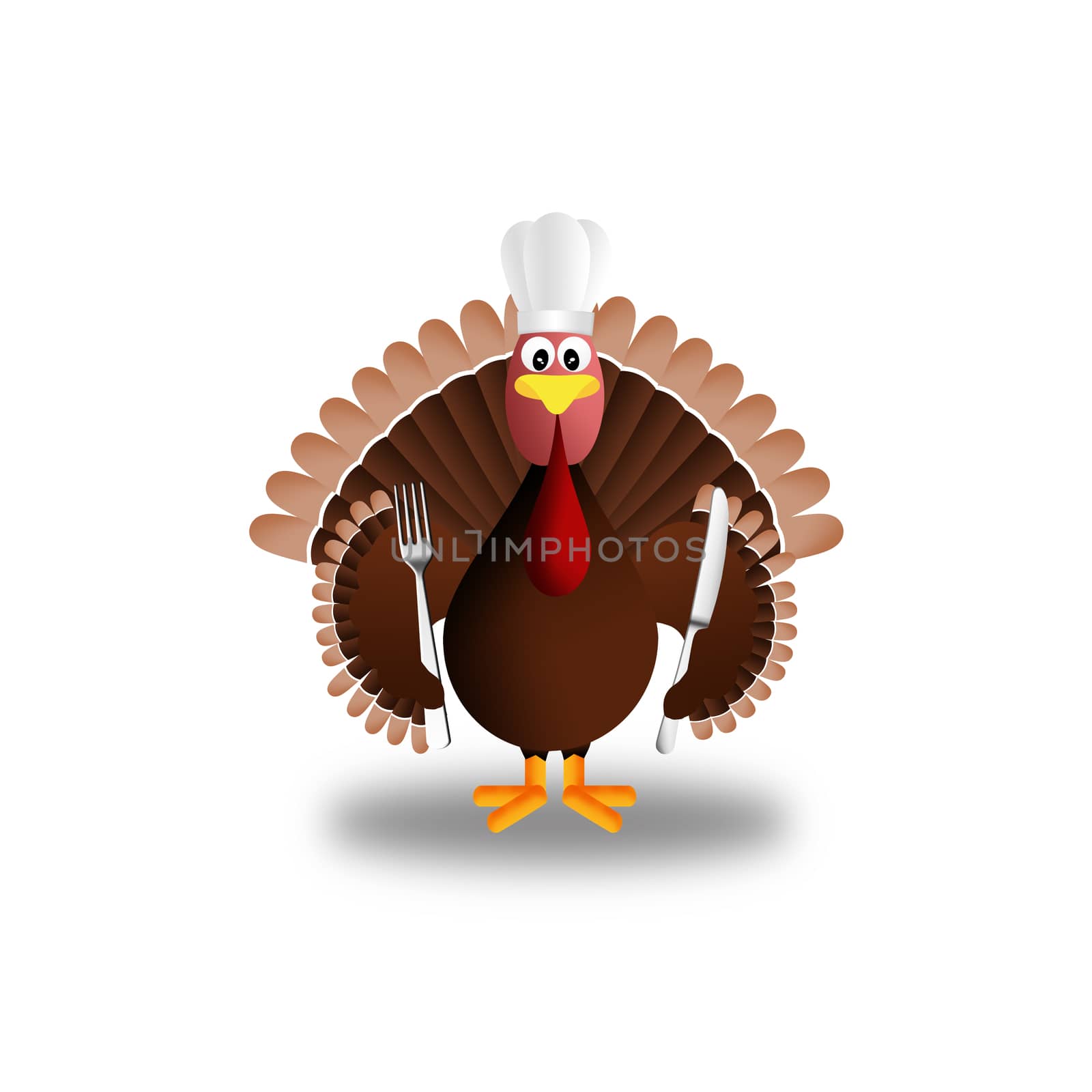 illustration of a turkey for Thanksgiving