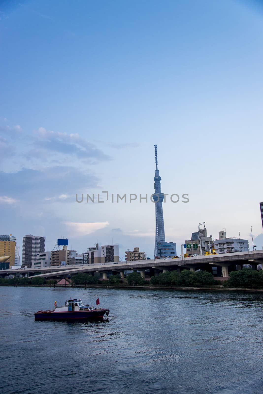 Tokyo sky tree with Sumida river in Japan3 by gjeerawut