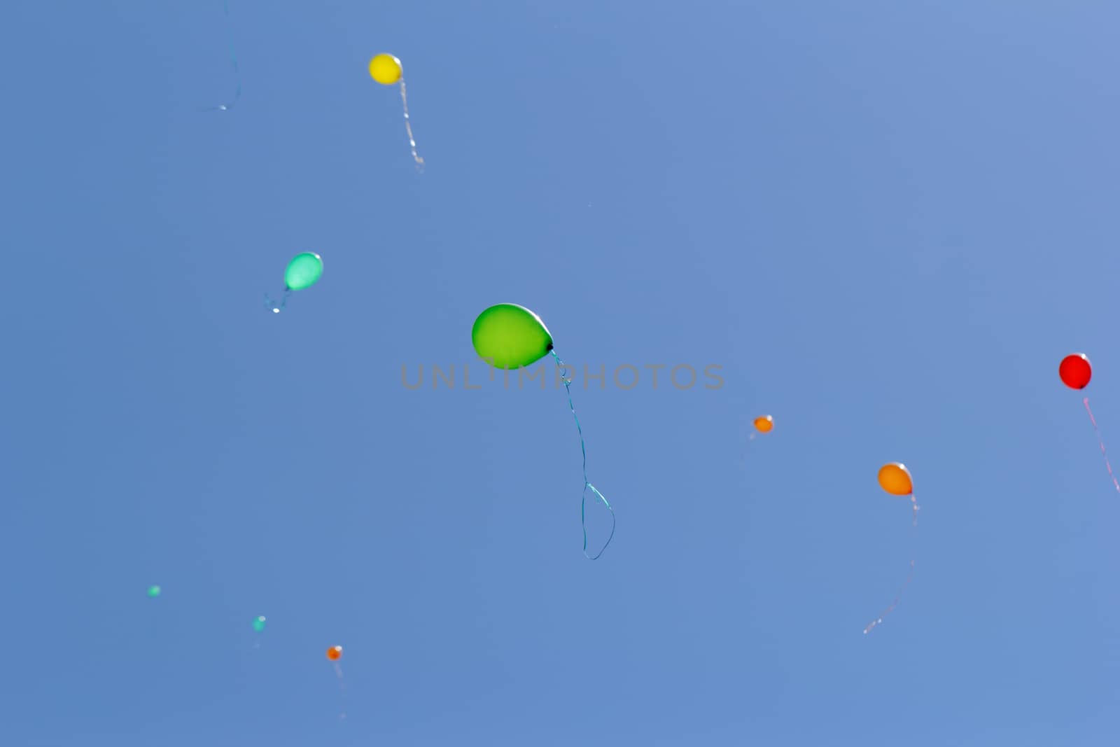 color balloons flying to the sky