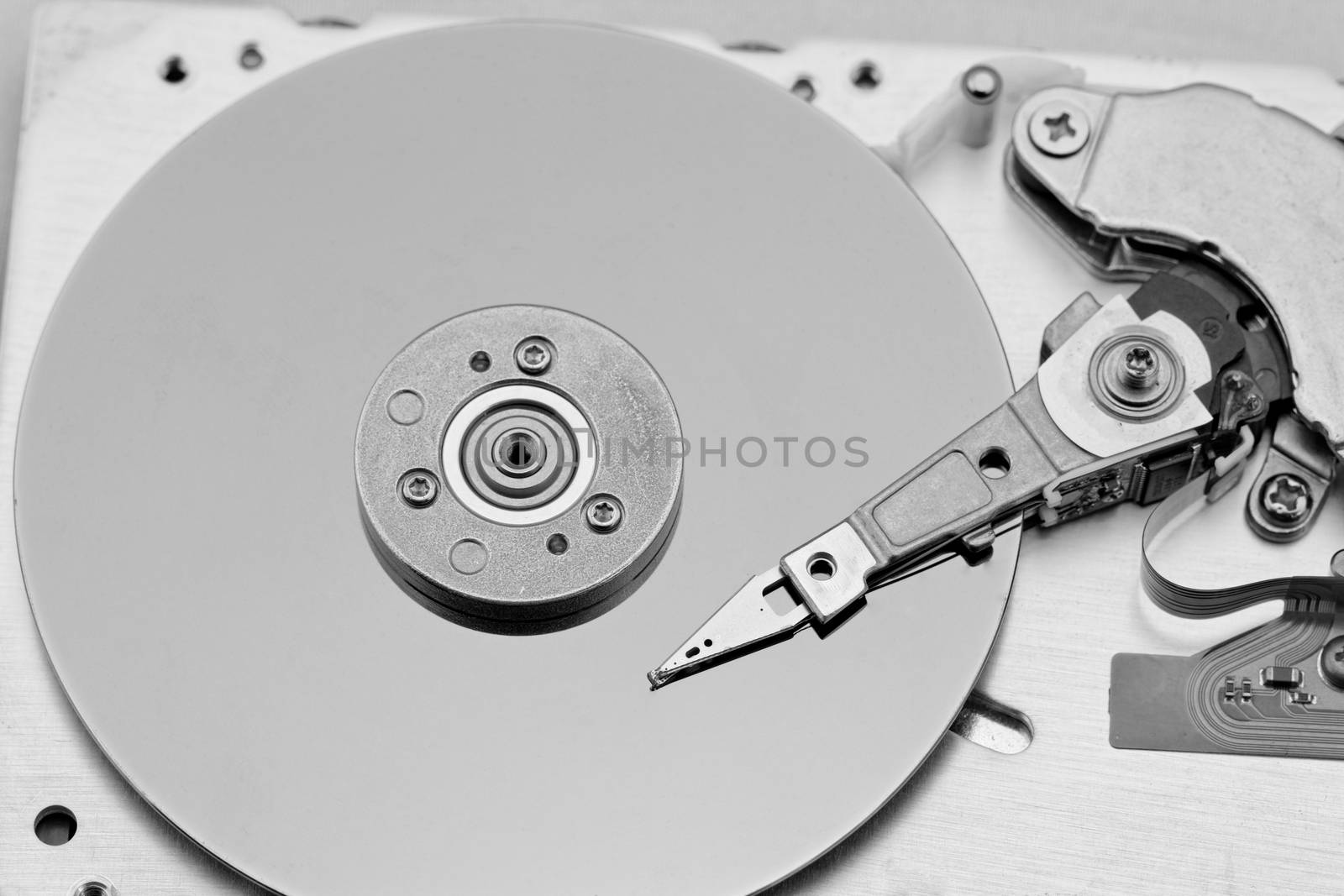 Open computer hard drive on white background in bw color (HDD, Winchester)
