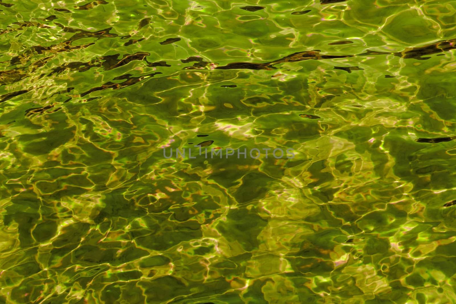 golden yellow abstract background of wavy water surface