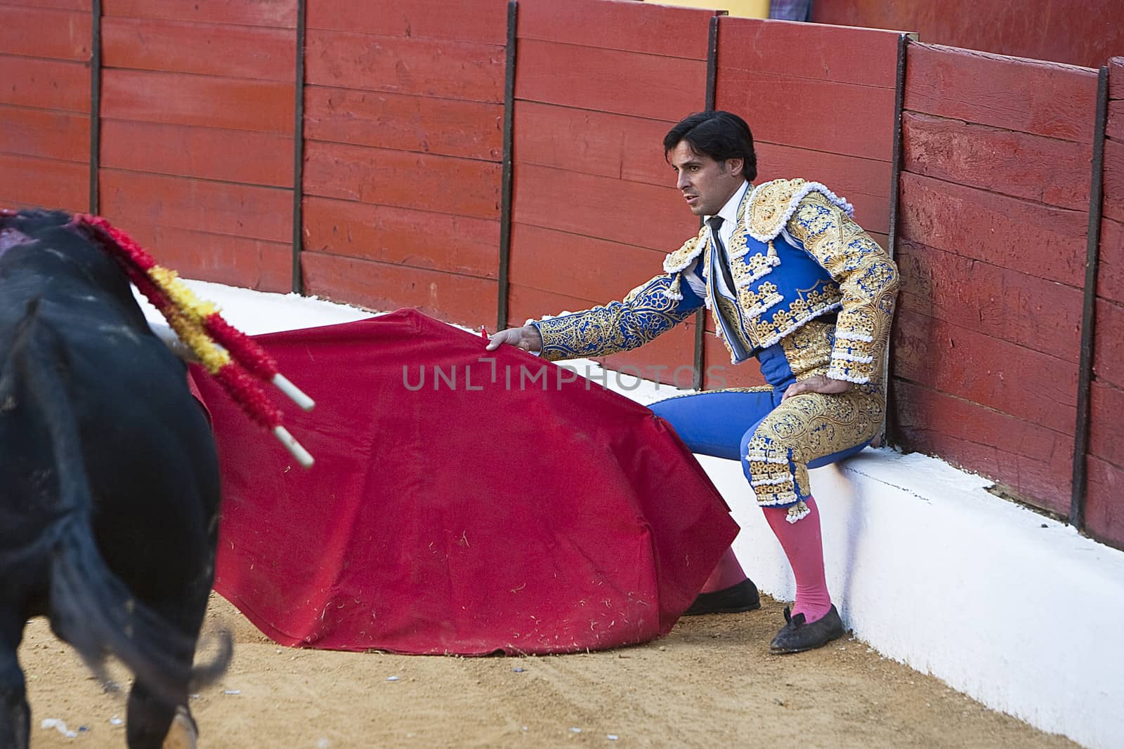 The Spanish Bullfighter Francisco Rivera bullfighting with the crutch in the Bullring of the Villanueva del arzobispo, Jaen province, Spain, 9 september 2011