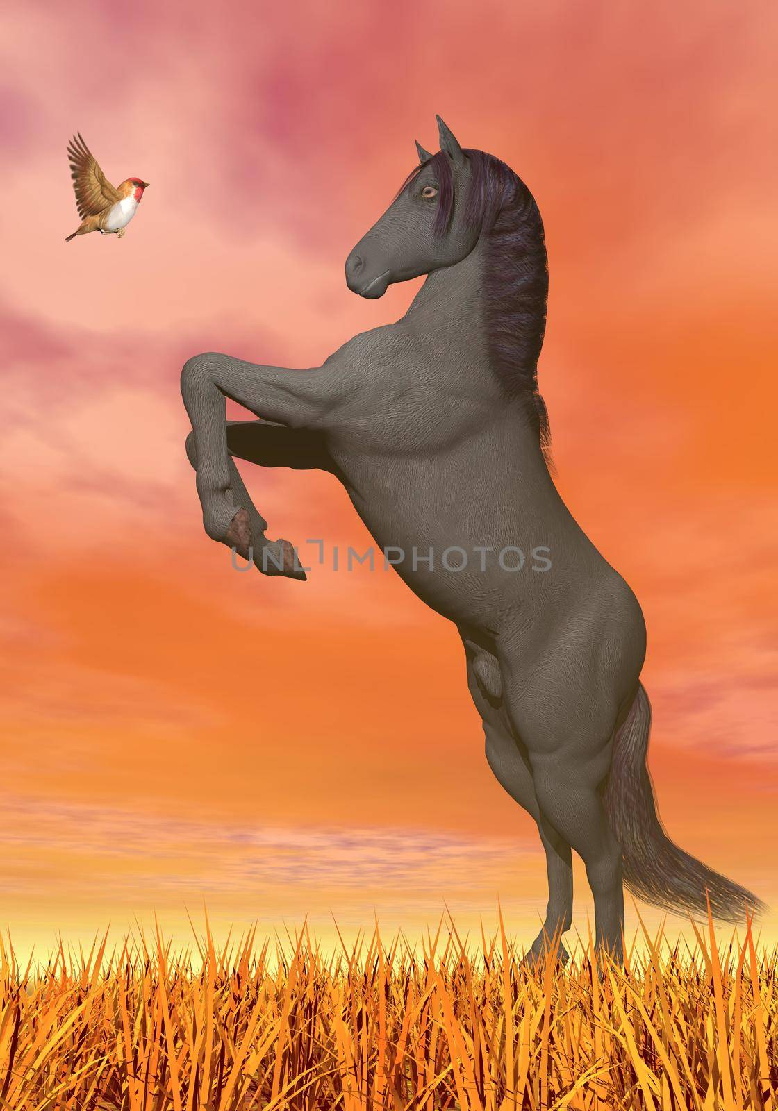 Rearing horse in front of little monarch butterfly by beautiful orange sunset sky