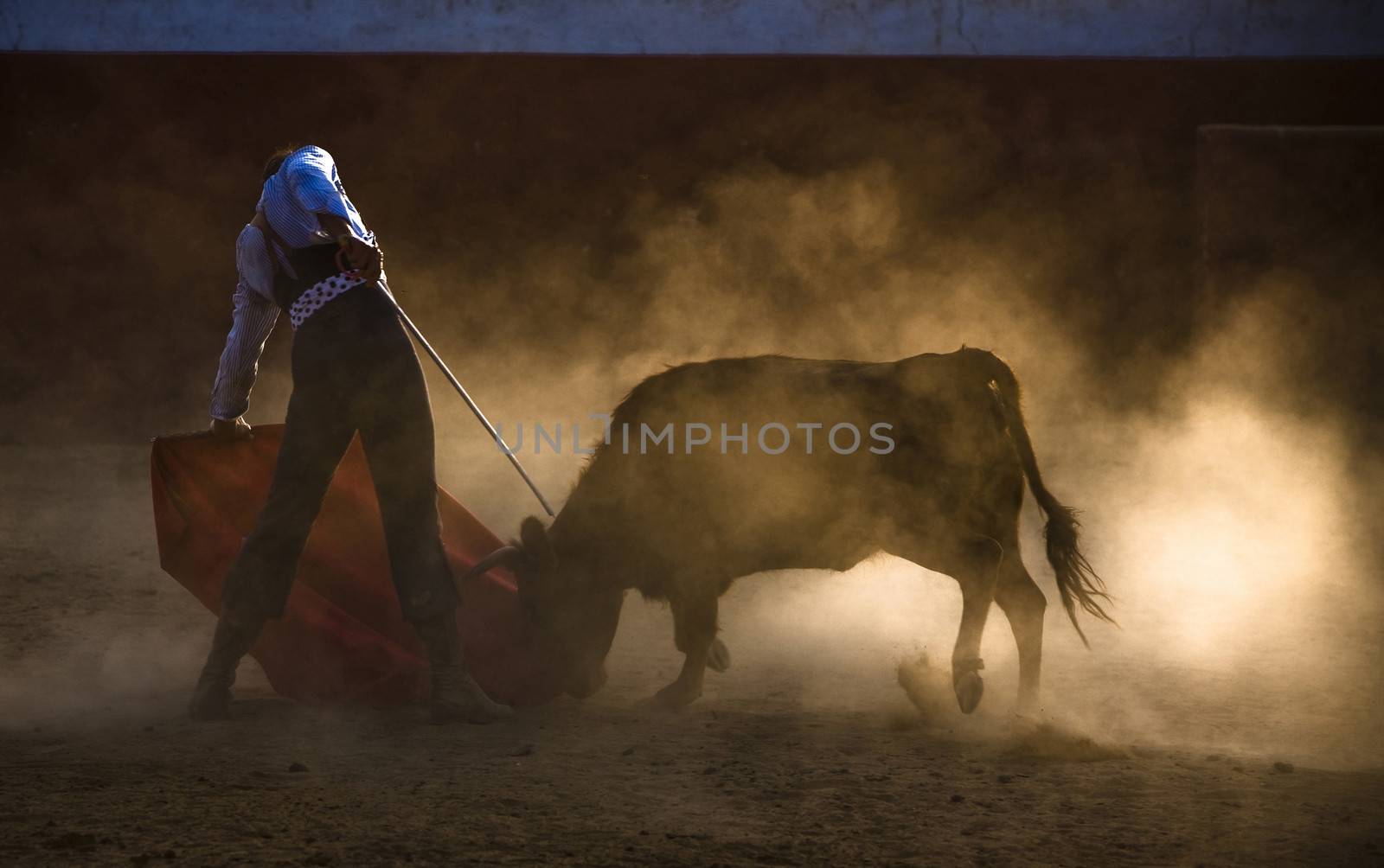 The Spanish bullfighter David Valiente Bullfight at tentadero, Jaen, Spain, 9 september 2009