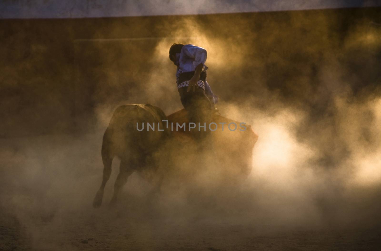 The Spanish bullfighter David Valiente Bullfight at tentadero, Jaen, Spain, 9 september 2009