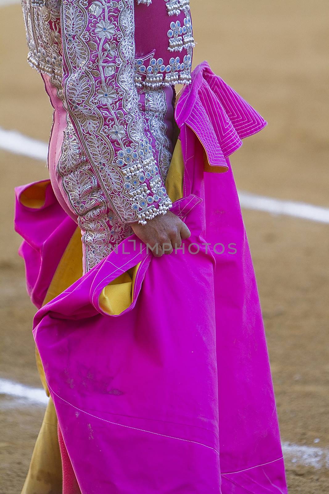 Bullfighter with the Cape before the Bullfight, Spain