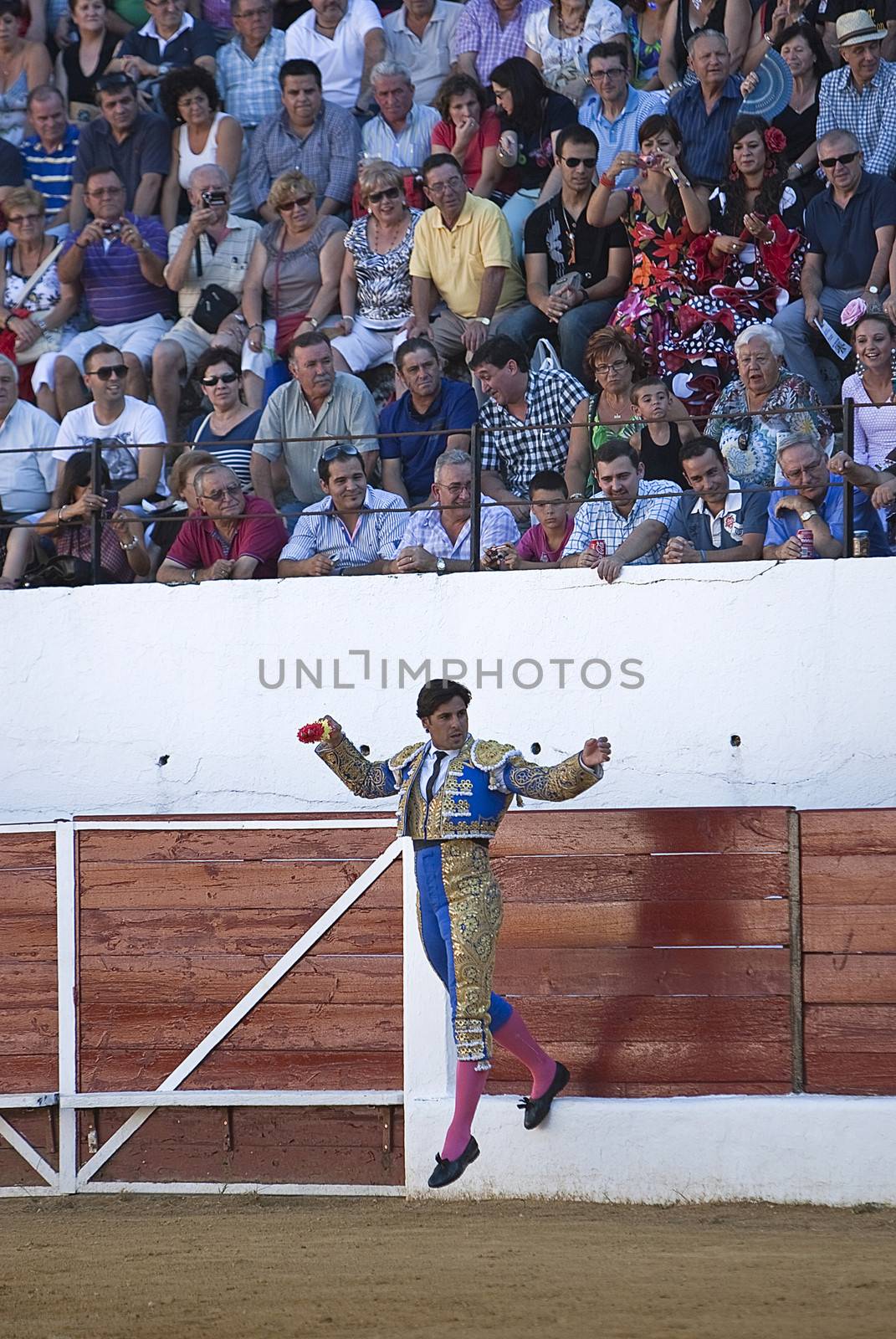 Banderillero, the torero who, on foot, places the darts in the bull, the banderillas is Brightly-coloured darts placed in the bull