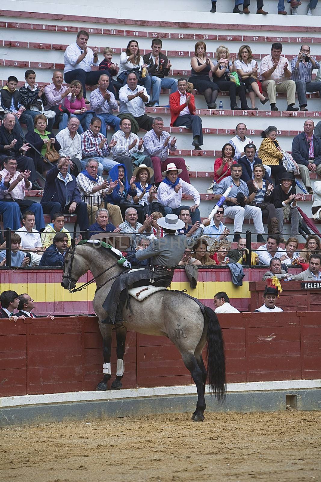 Alvaro Montes, bullfighter on horseback spanish, Baeza, Jaen, Spain, 13 october 2008