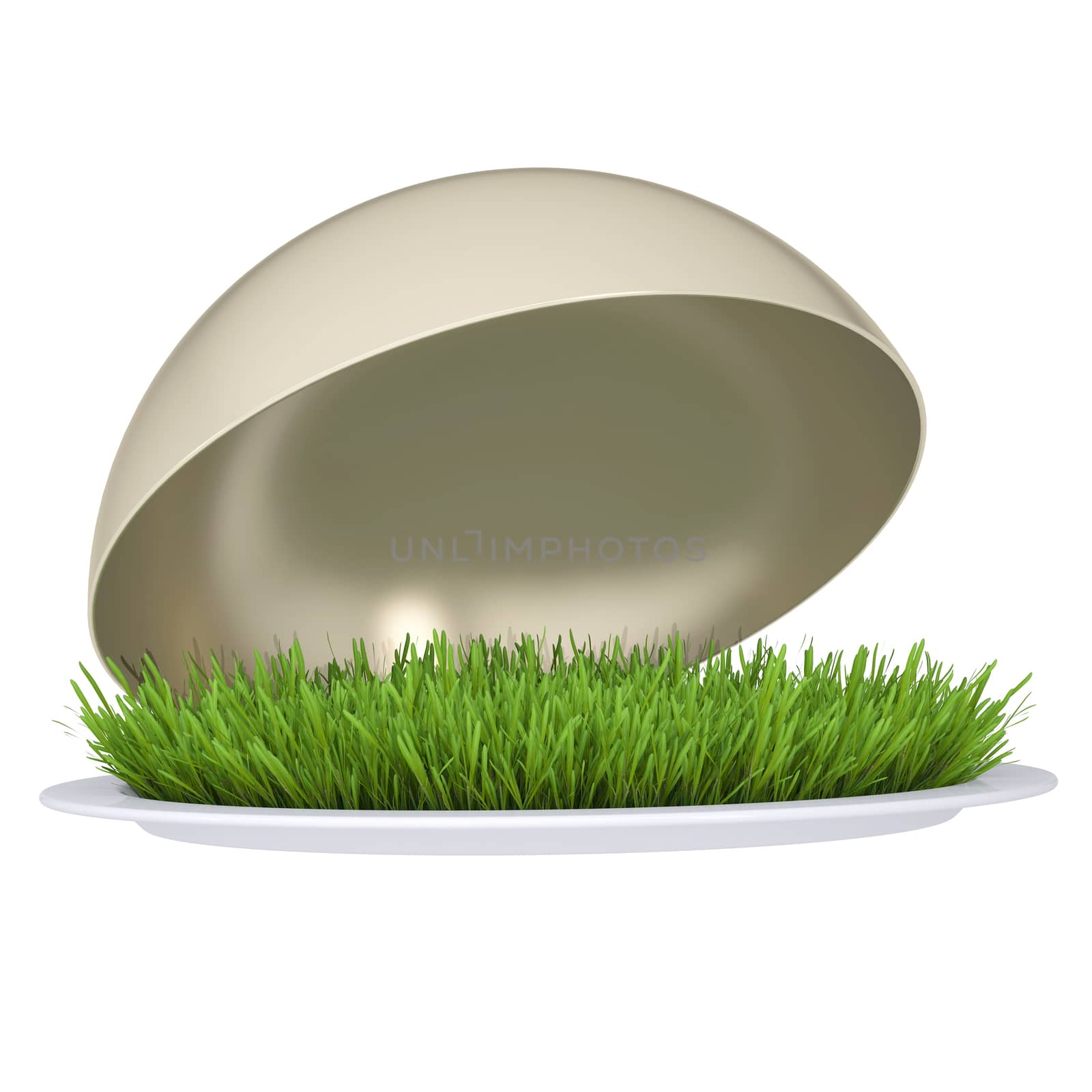 Green grass on a plate with a lid. Isolated render on a white background