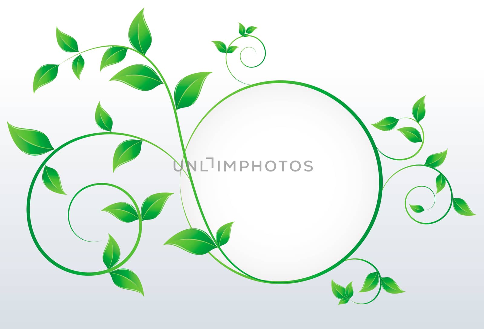 Nature concept with green leafs and space for your text on abstract grey background