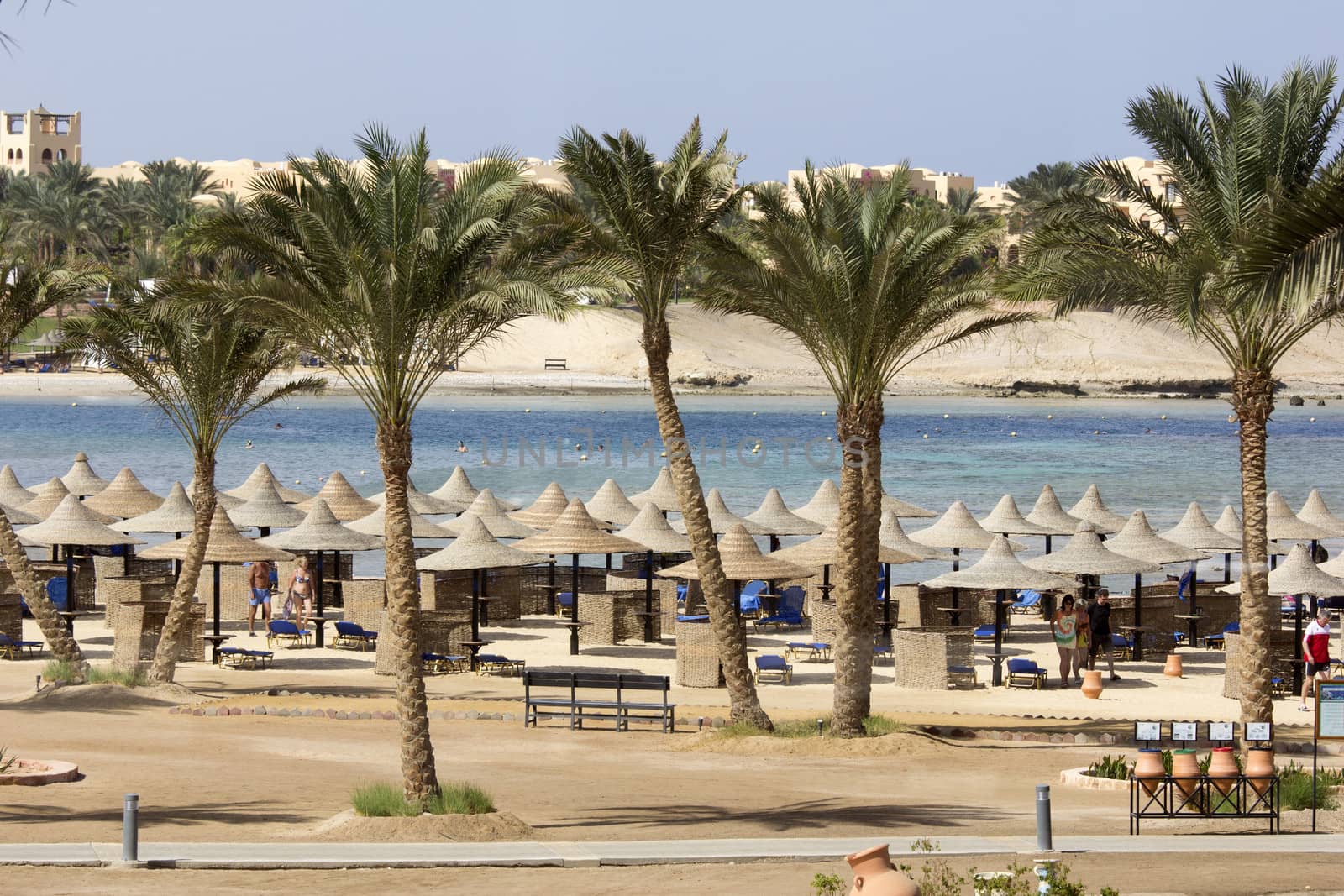 Palm trees and buildings in Egypt with sea and beach in the background 