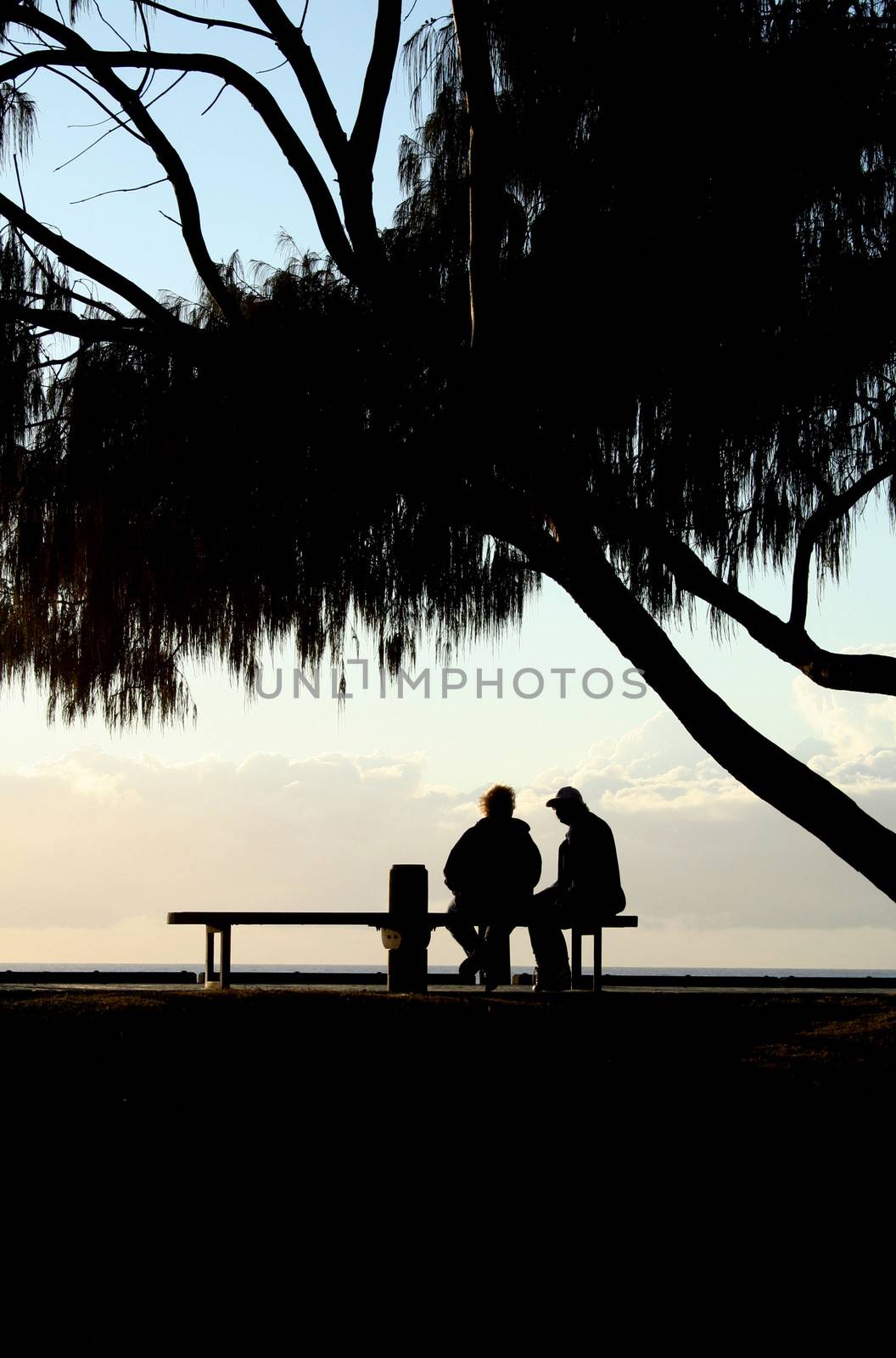 Two old friends spend time together just after sunrise.