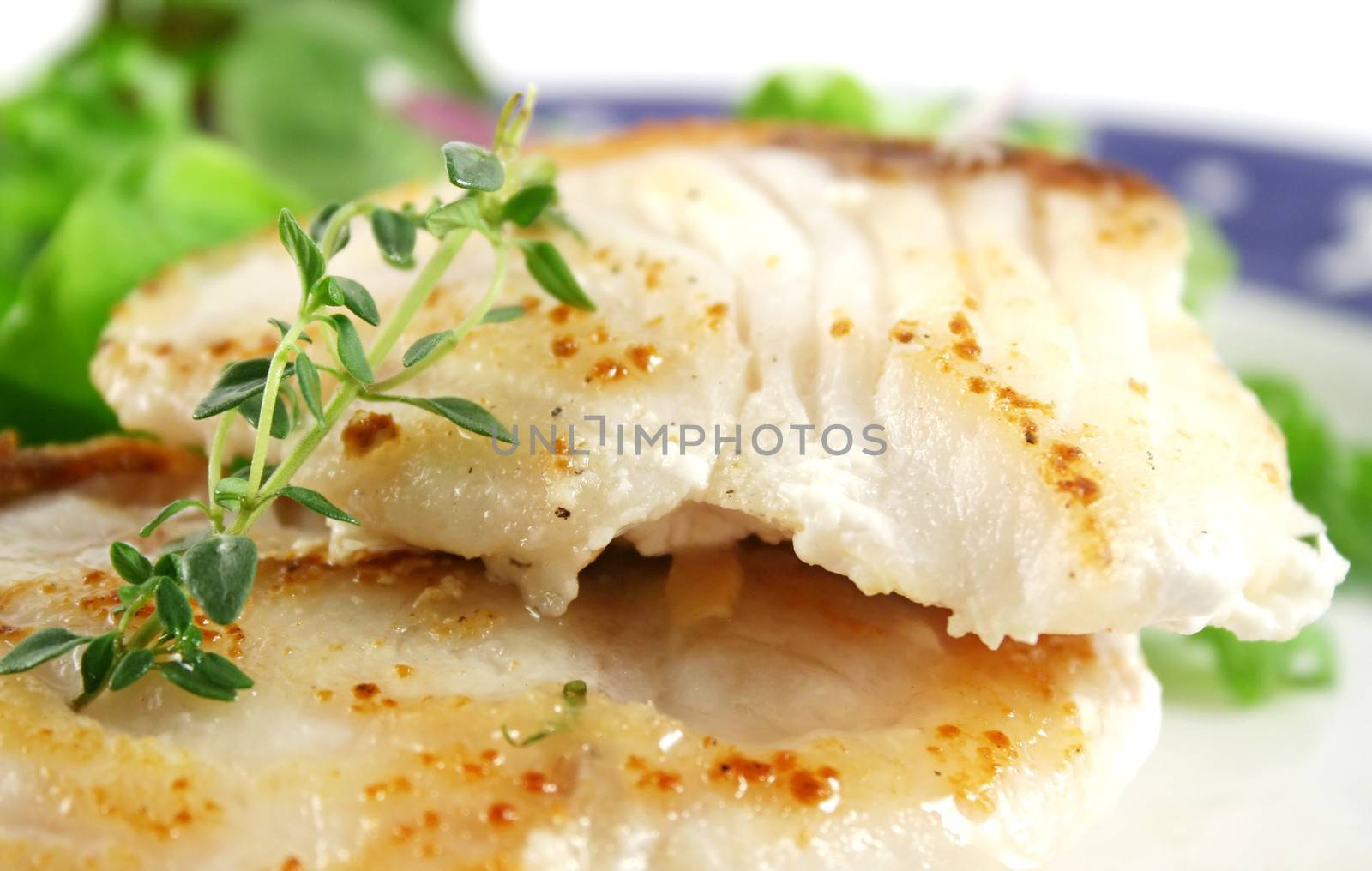 Profile close up of pan fried Sea Perch with and salad.