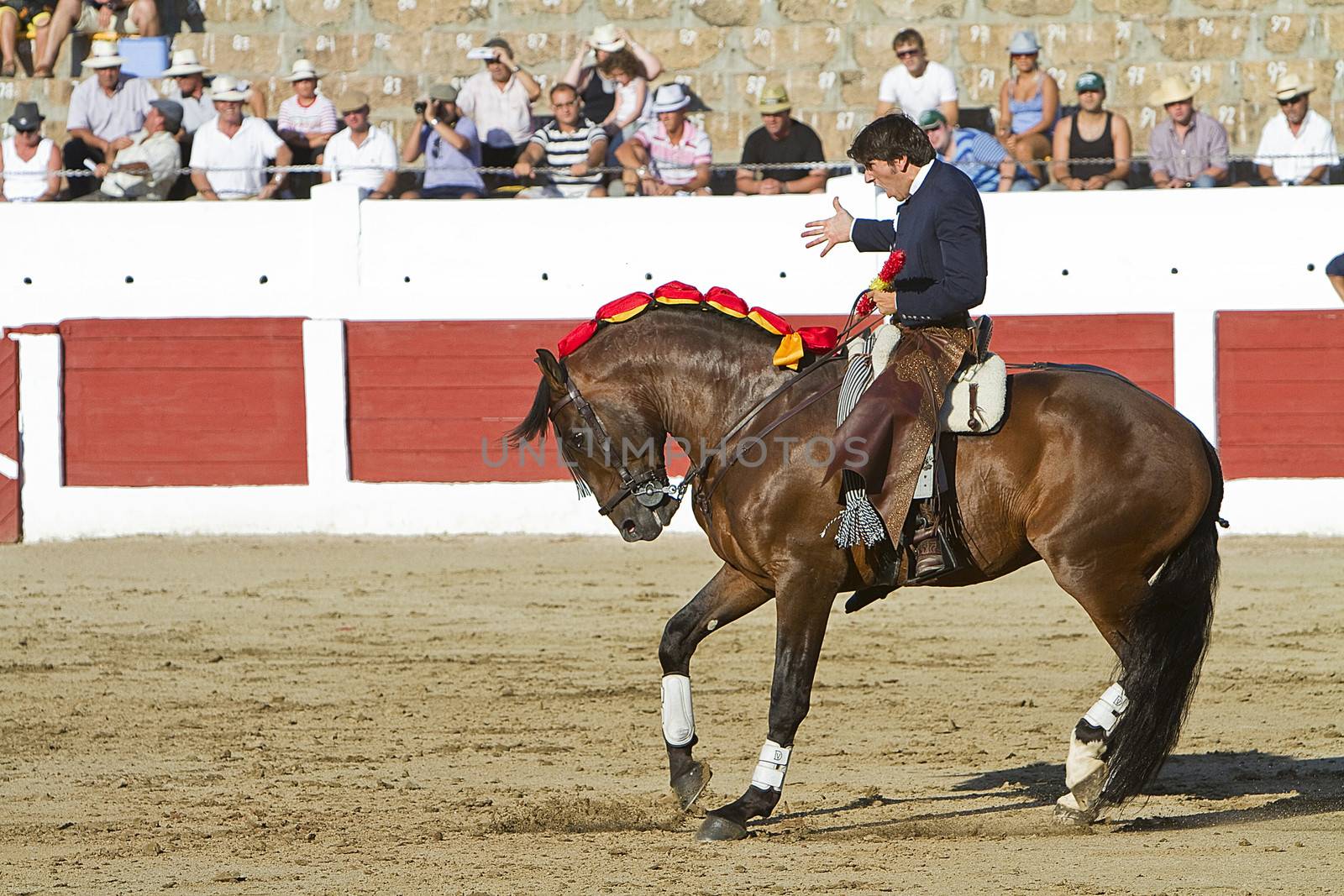 Diego Ventura, bullfighter on horseback spanish, Linares, Jaen province, Spain, 28 august 2010