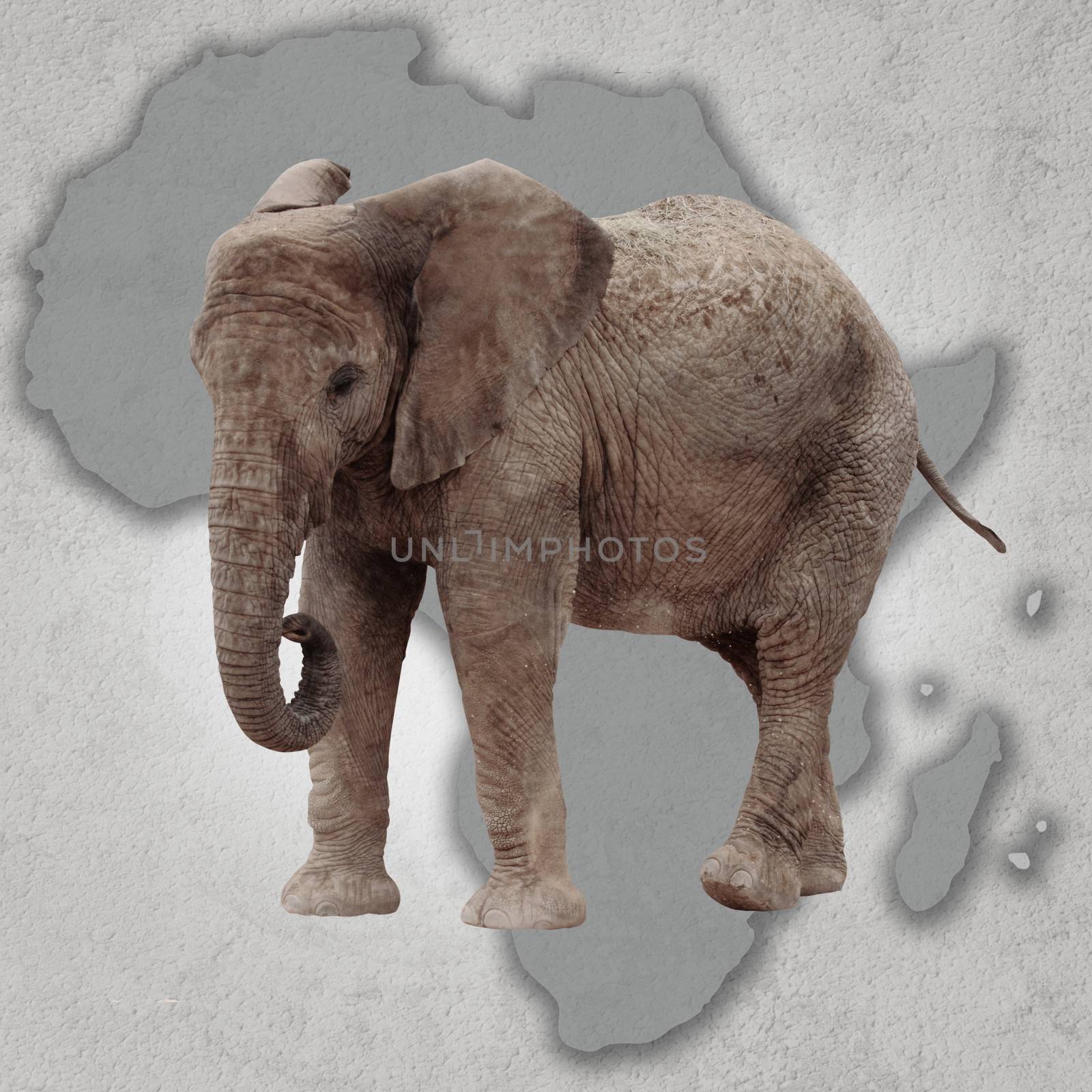 elephant and africa by erllre