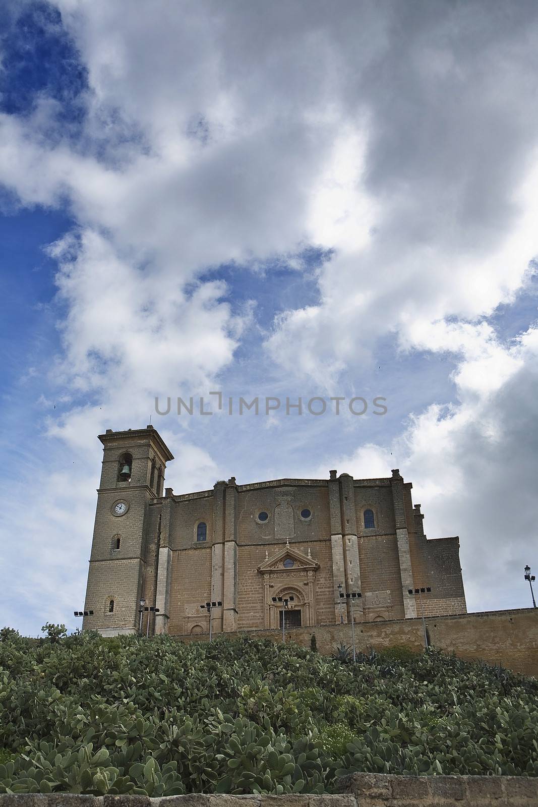 Collegiate Church of Our Lady of the Assumption in Osuna, Andalusia, Spain