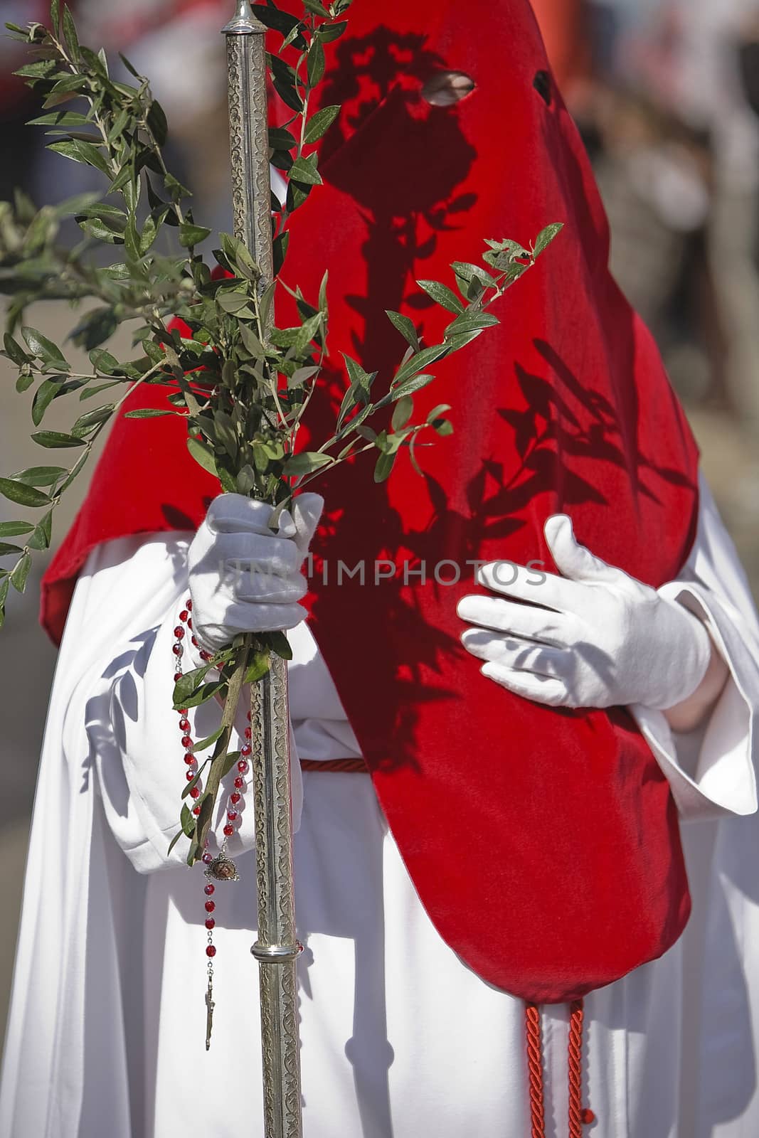 Penitent with a crosier carried olive branches during a procession of holy week on Palm Sunday, Spain