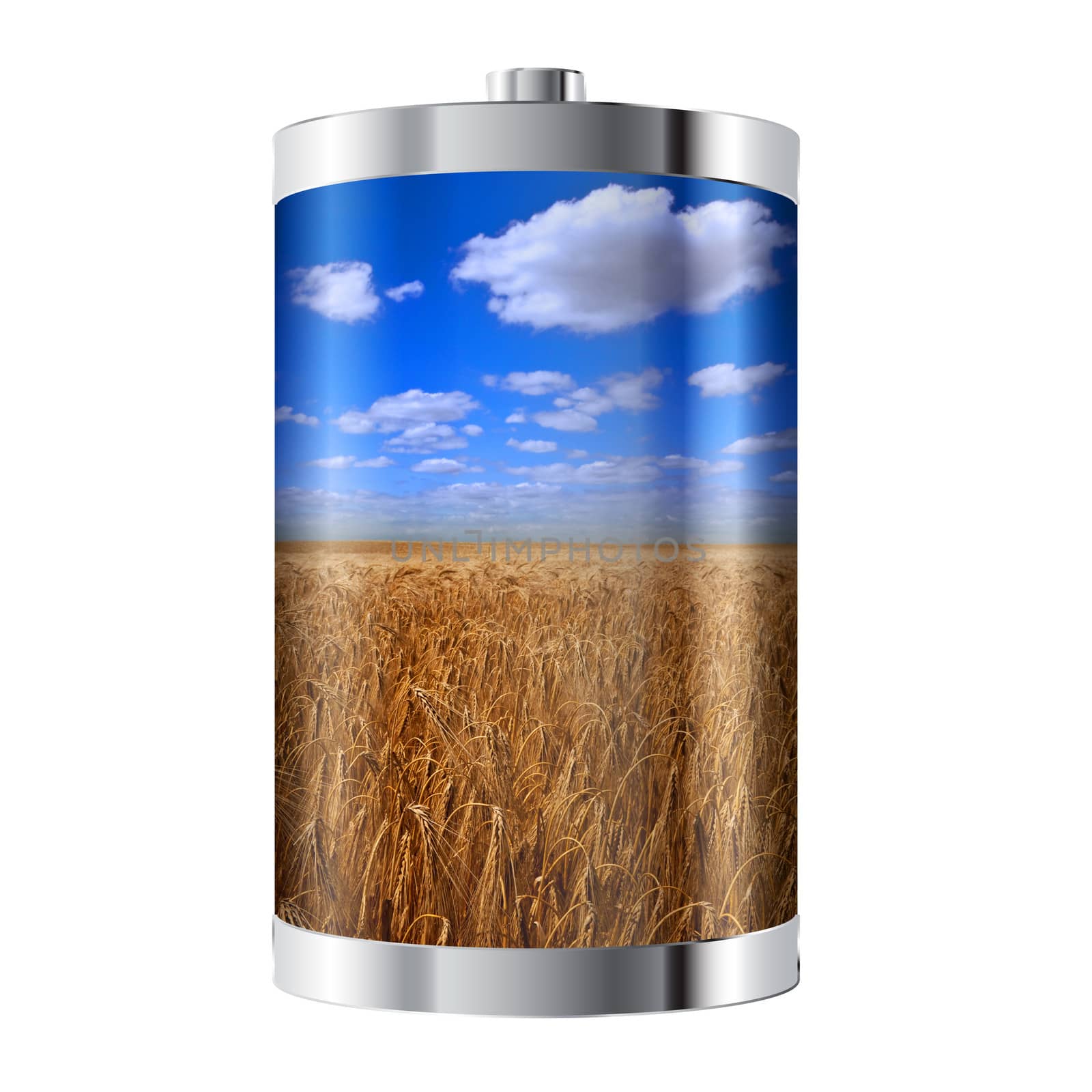 Battery cell containing ripe field of wheat 
