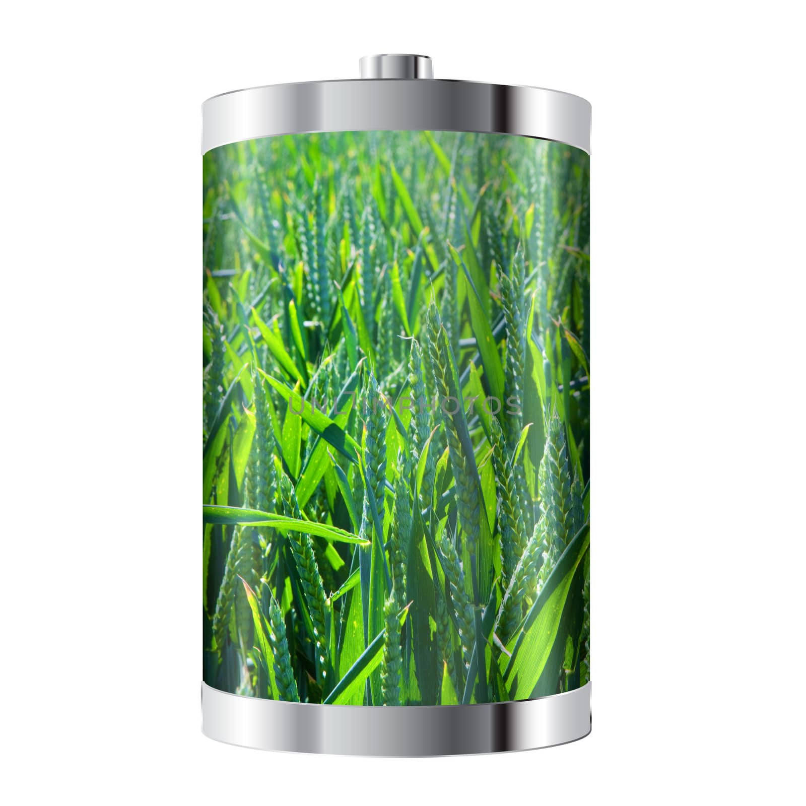 Battery cell containing field of green wheat 
