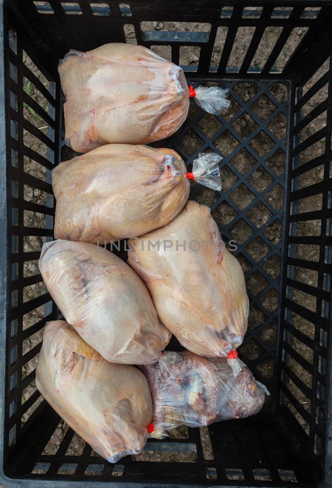 Poultry abattoir with crate of packed chicken carcasses for the local food markets.