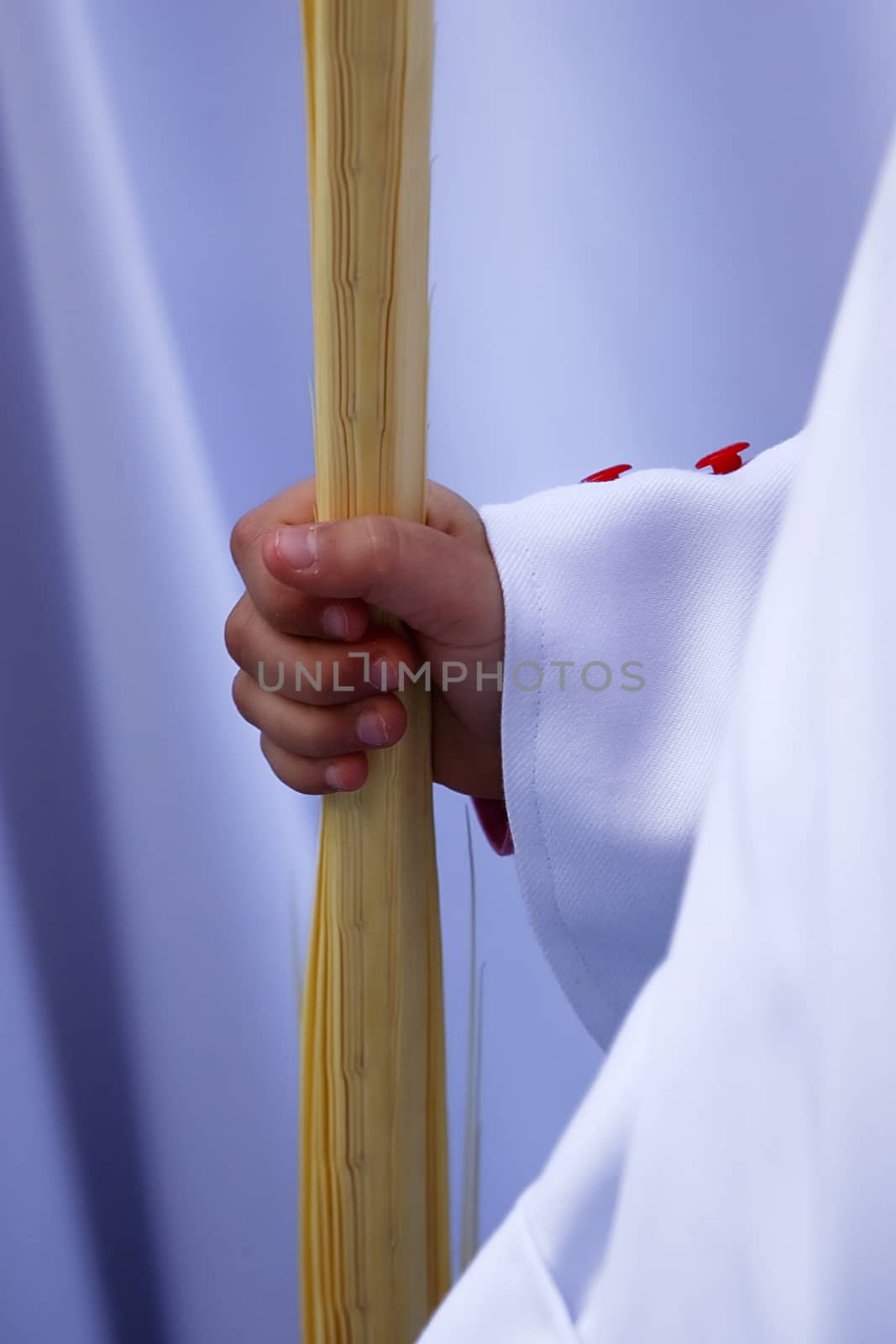 Detail penitent  holding a palm during Holy Week on Palm sunday, Spain