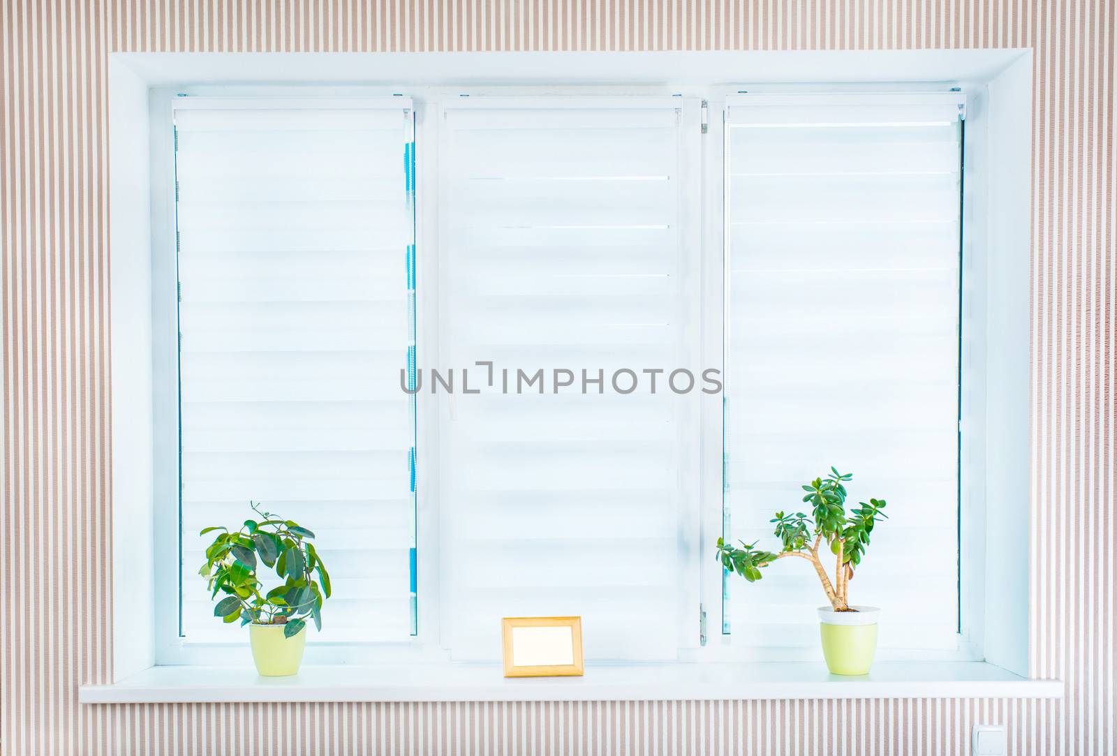 window in the room with flowers and frame for photo