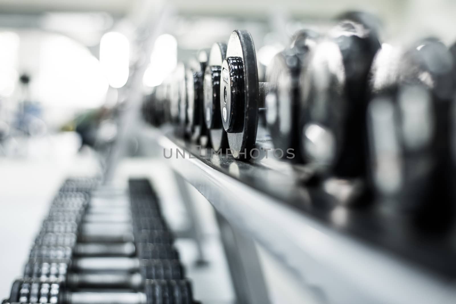 Rows of dumbbells in the gym