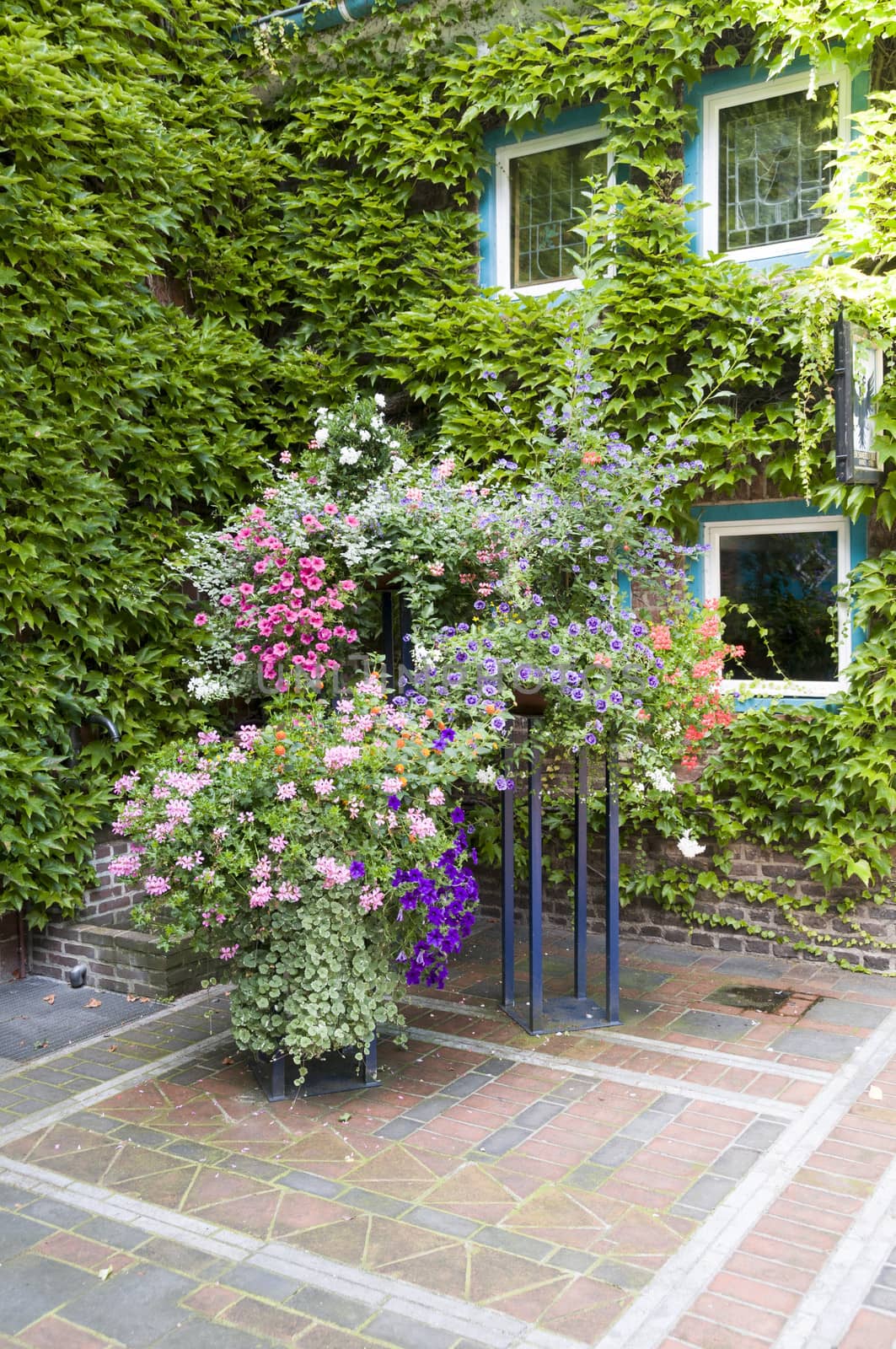 green patio garden with pot and flowers